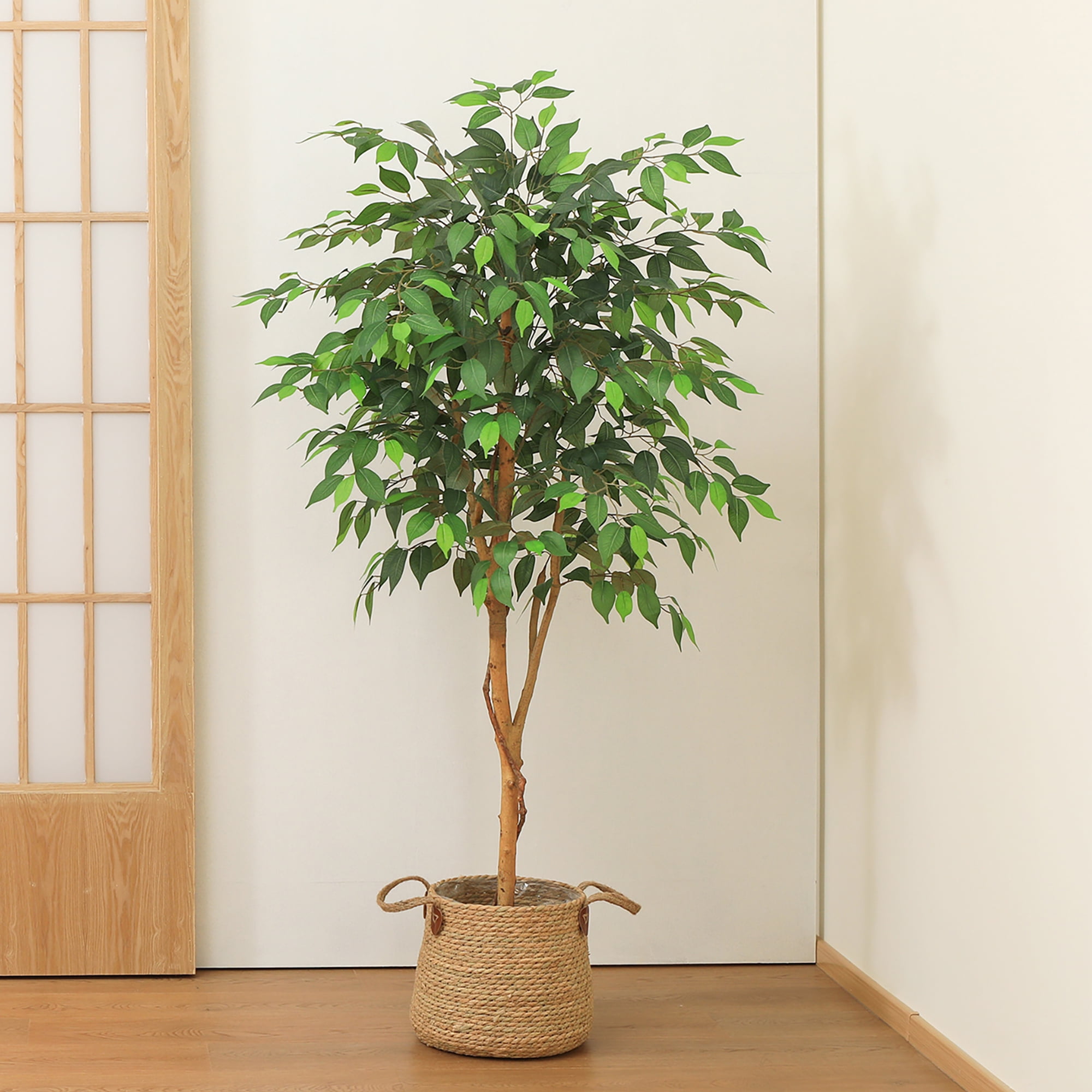 DR.Planzen Artificial Ficus Tree, Lifelike Indoor Floor Plant with Natural Wood Trunk (Green, 60 in) jofpa