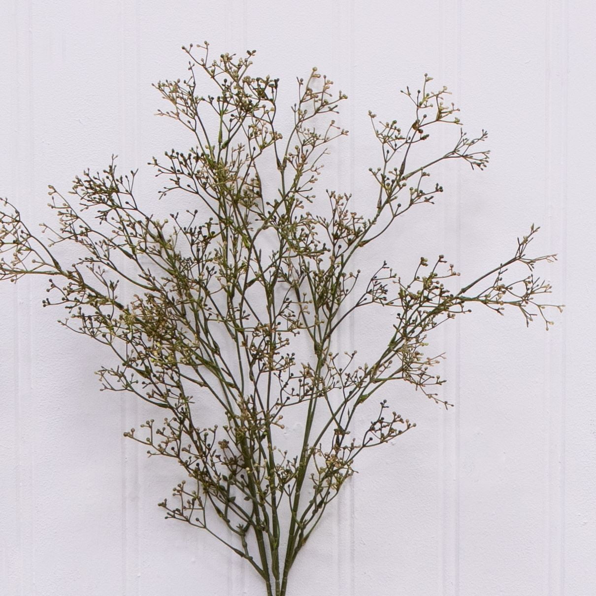 Better Homes & Gardens Artificial Dried Rice Stem Decor, Realistic Indoor Floral Arrangement (33 in, 2 Pack) pbfng