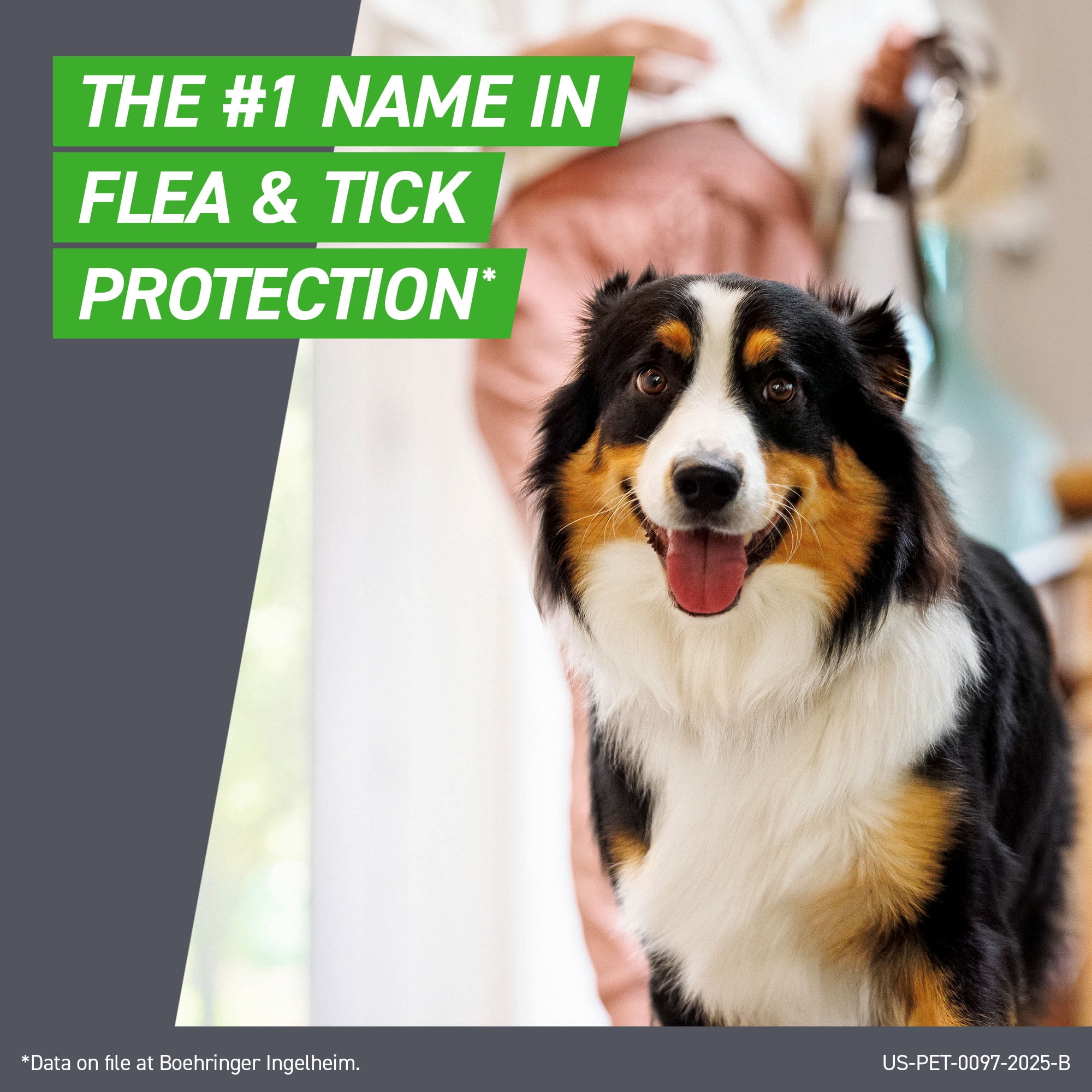 FRONTLINE Plus Flea and Tick Treatment for Small Dogs (5-22 lbs, 3 Count) ynr9m
