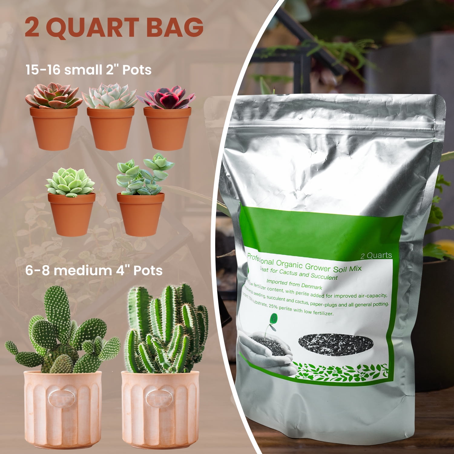 Thenextgardener Succulent and Cactus Soil Potting Mix, Fast Draining Organic Blend for Indoor and Outdoor Bonsai (4 qt) bhv5o