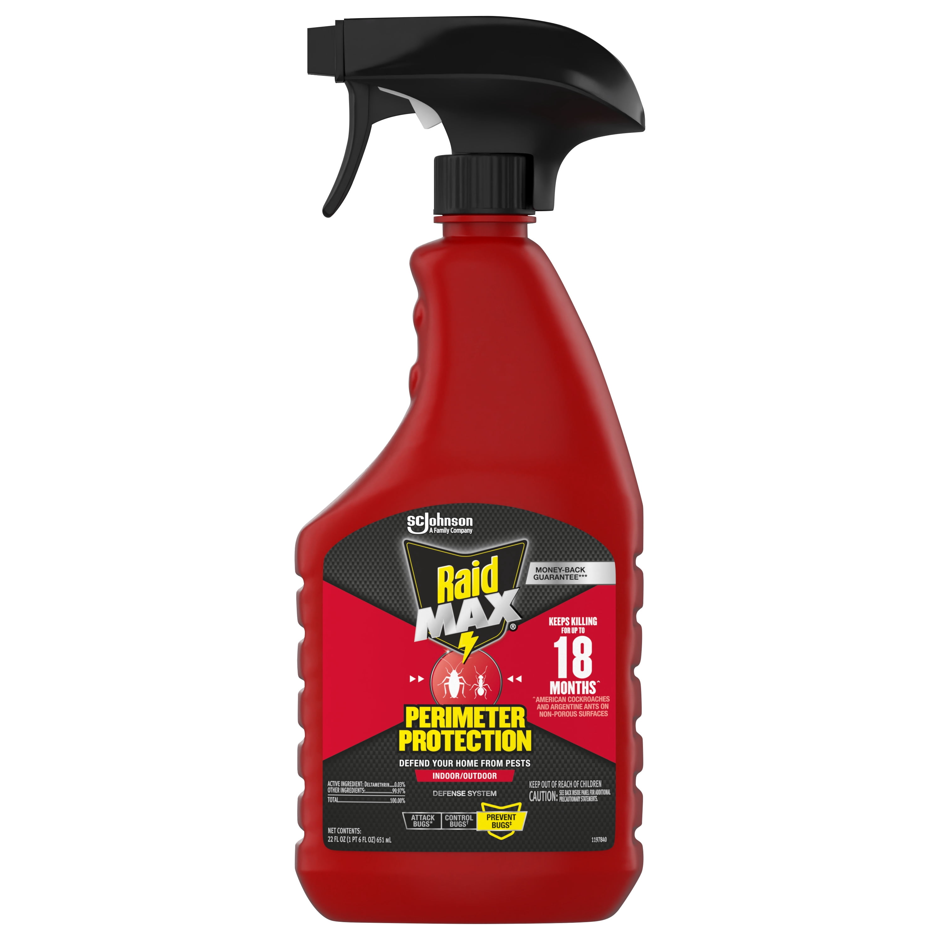 Raid MAX Perimeter Protection Multi Insect Killer Spray (Indoor & Outdoor, 22 fl oz) sm633
