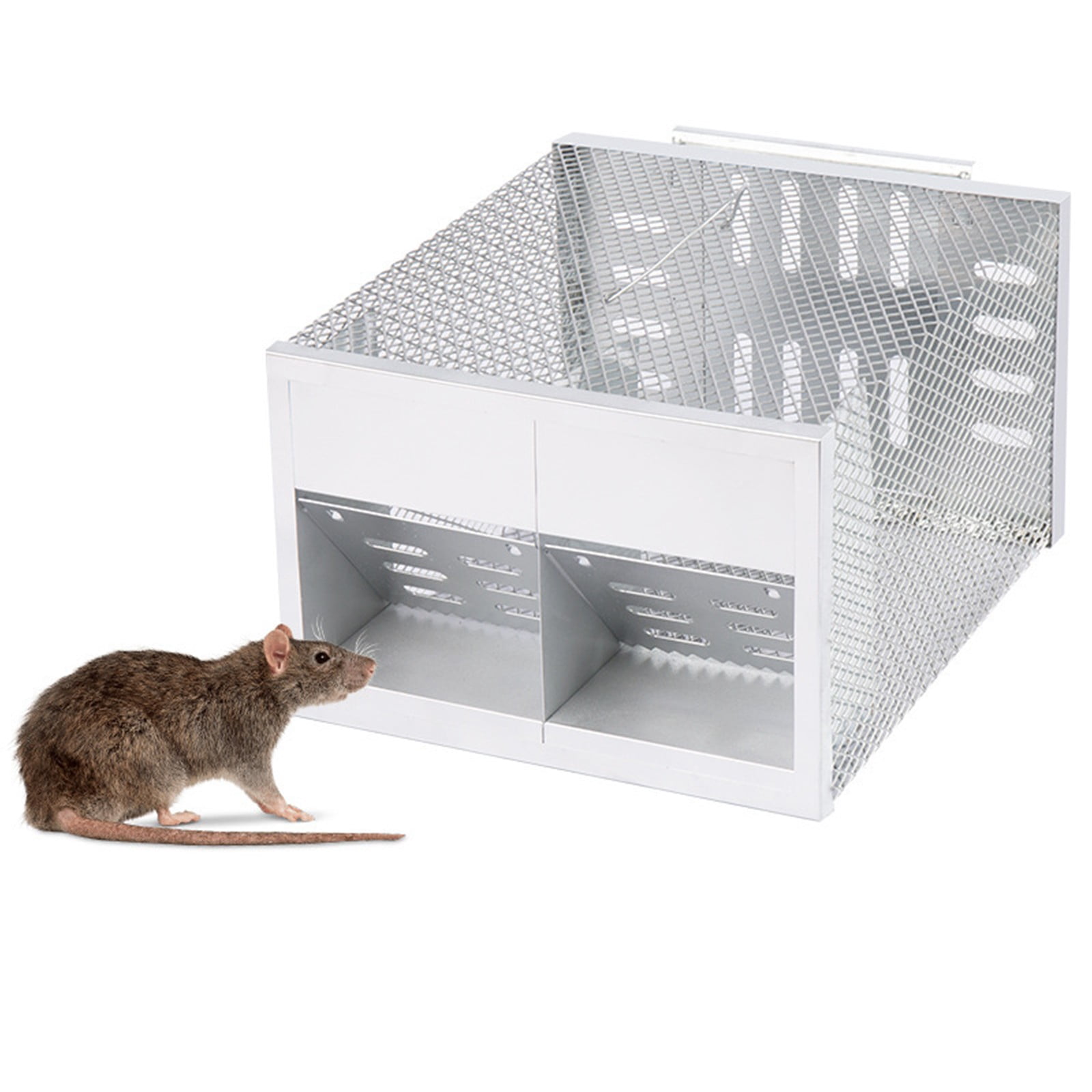 LINMOUA Humane Live Animal Trap Cage, Double Opening One-Way Door for Rodents, Chipmunks, and Small Mice (12 in x 9 in x 6 in) ddwip