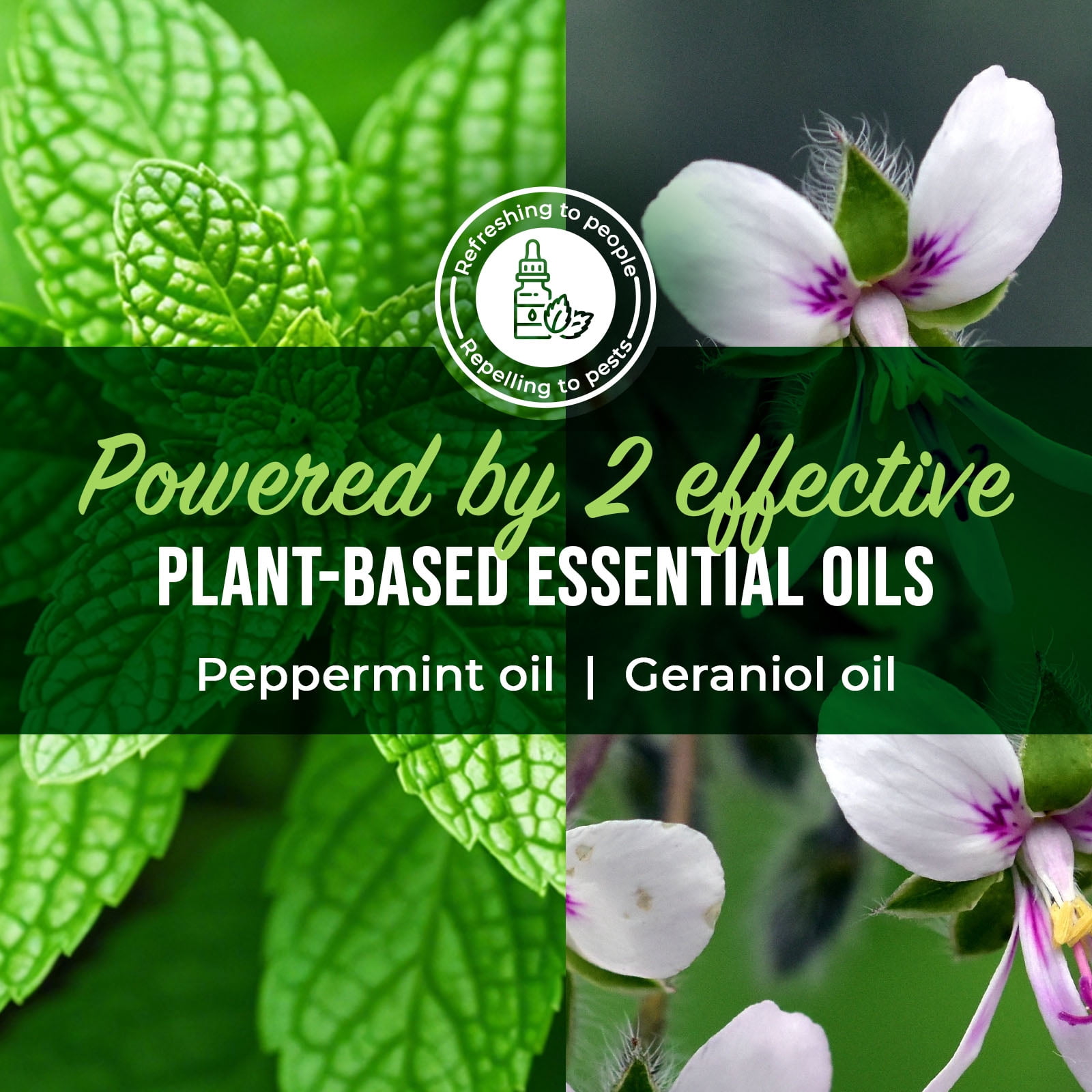 Mighty Mint Peppermint Oil Insect Control Spray for Home and Patio (Natural Pest Repellent, 130 fl oz) fxc6x