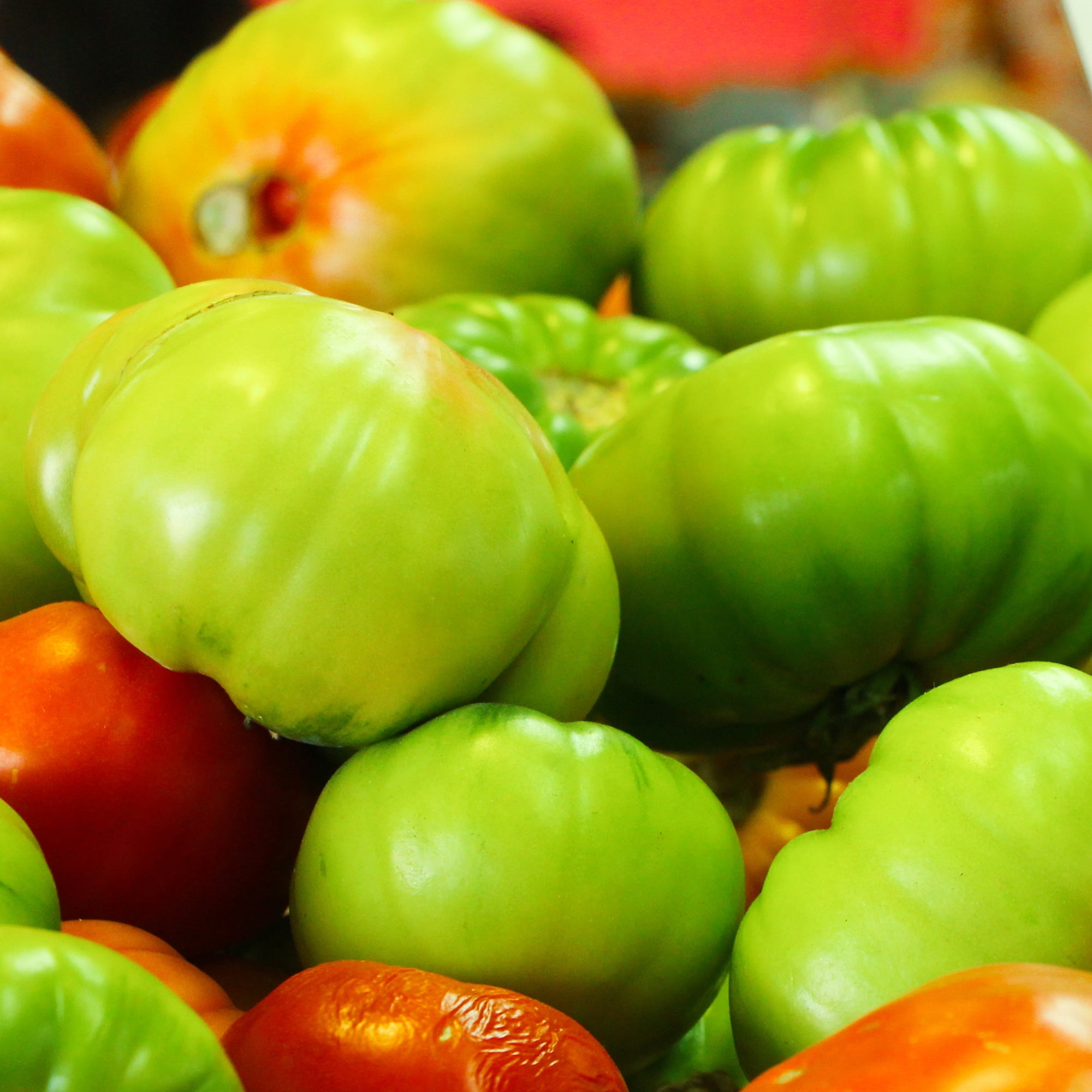 Mountain Valley Seed Containers Choice Green F1 Hybrid Tomato Seeds (Green, 70 Seeds) 078os