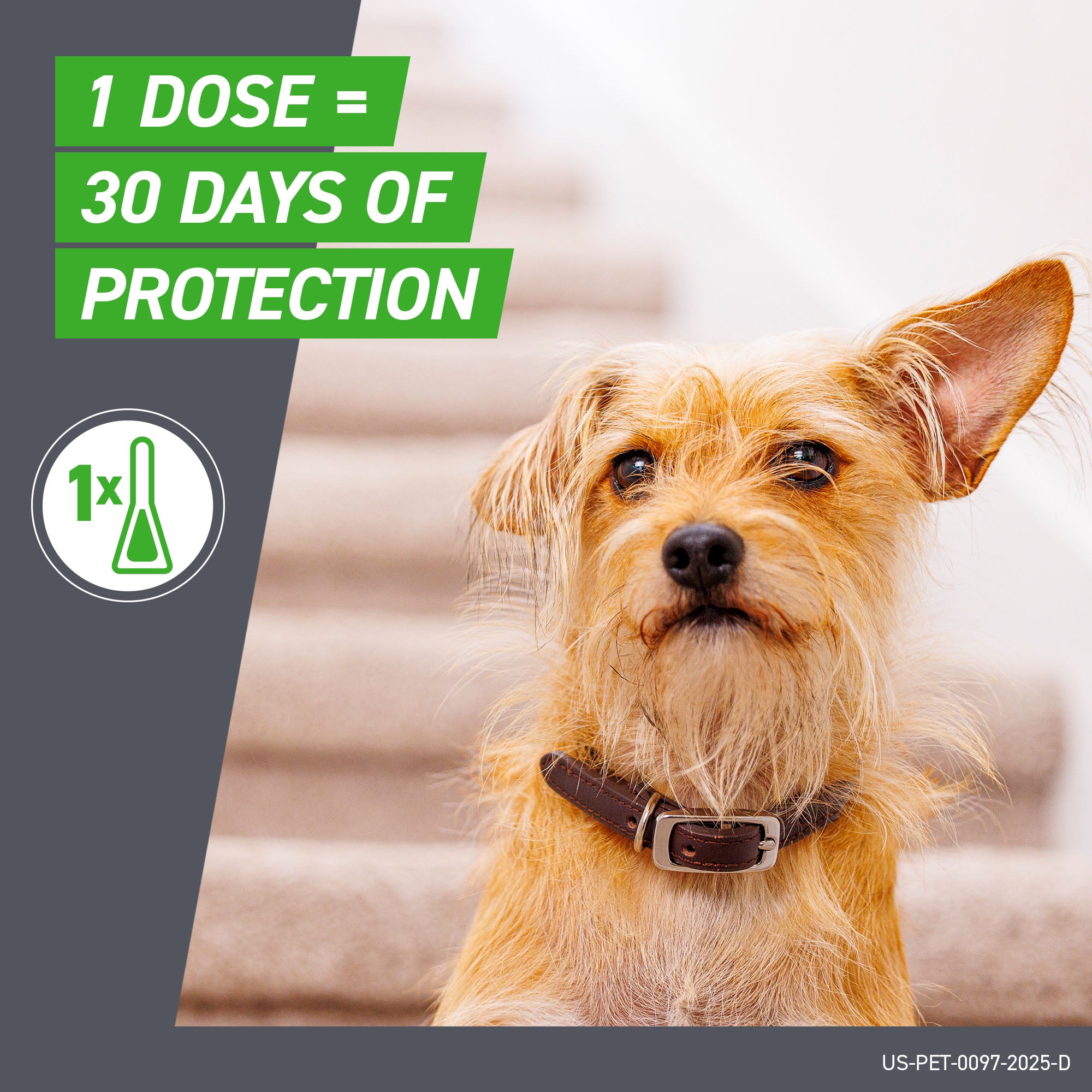 FRONTLINE Plus Flea and Tick Treatment for Small Dogs (5-22 lbs, 3 Count) ynr9m