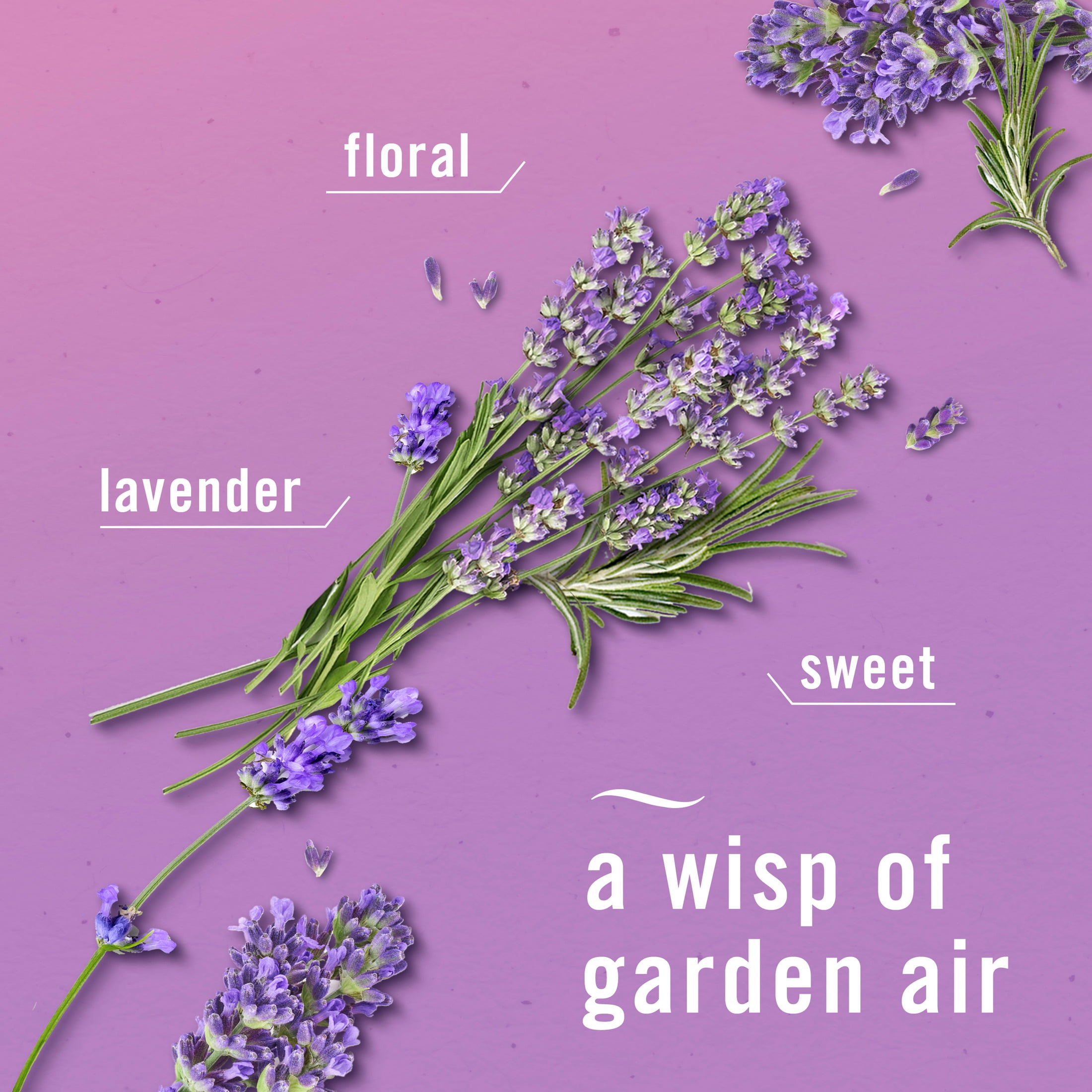 Febreze Air Mist Air Freshener Spray, Odor Eliminator, Twilight Lavender Scent (8.1 oz) tejjw