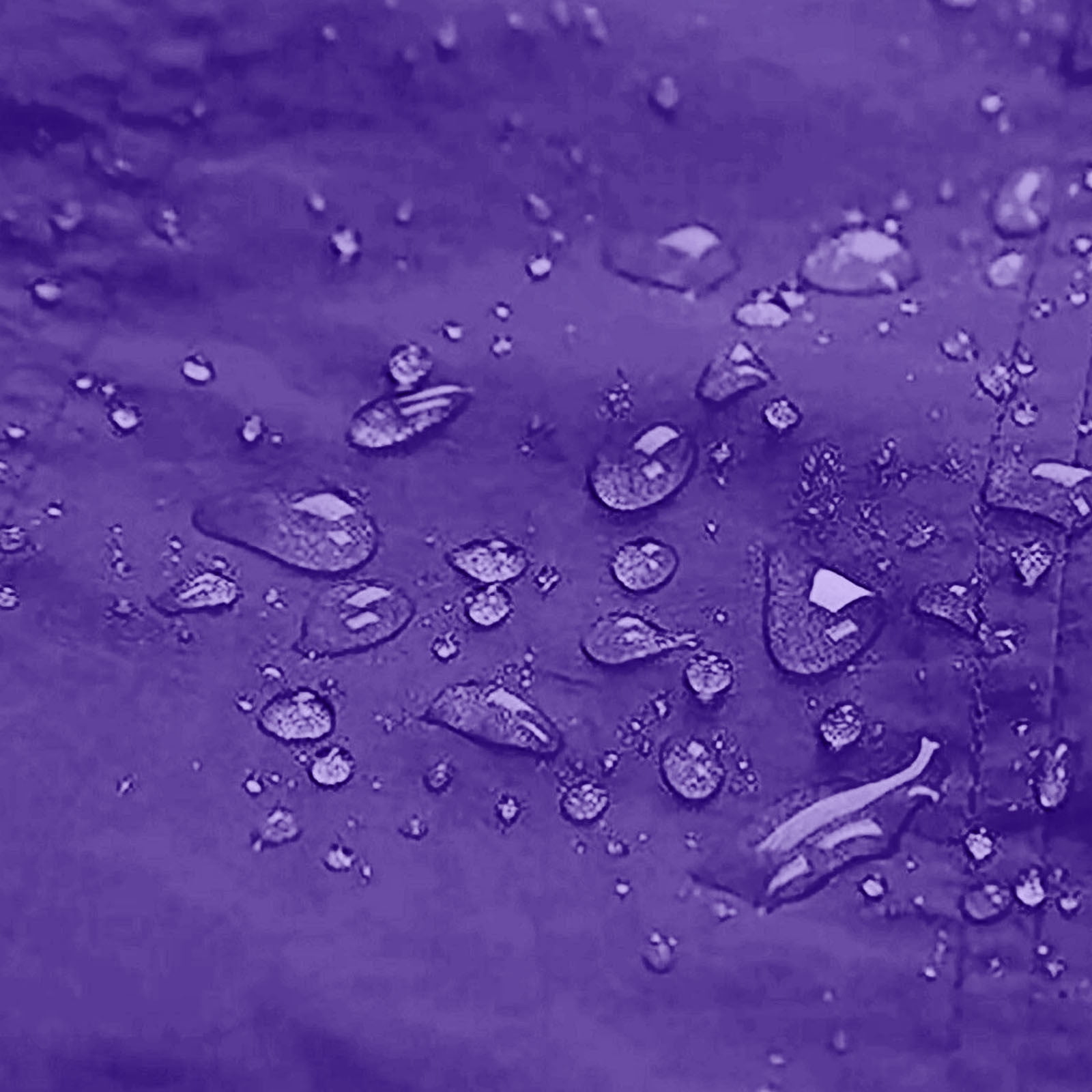 Sevevn Women's Waterproof Lightweight Rain Jacket with Hood and Pockets (Purple, L) bqw5c