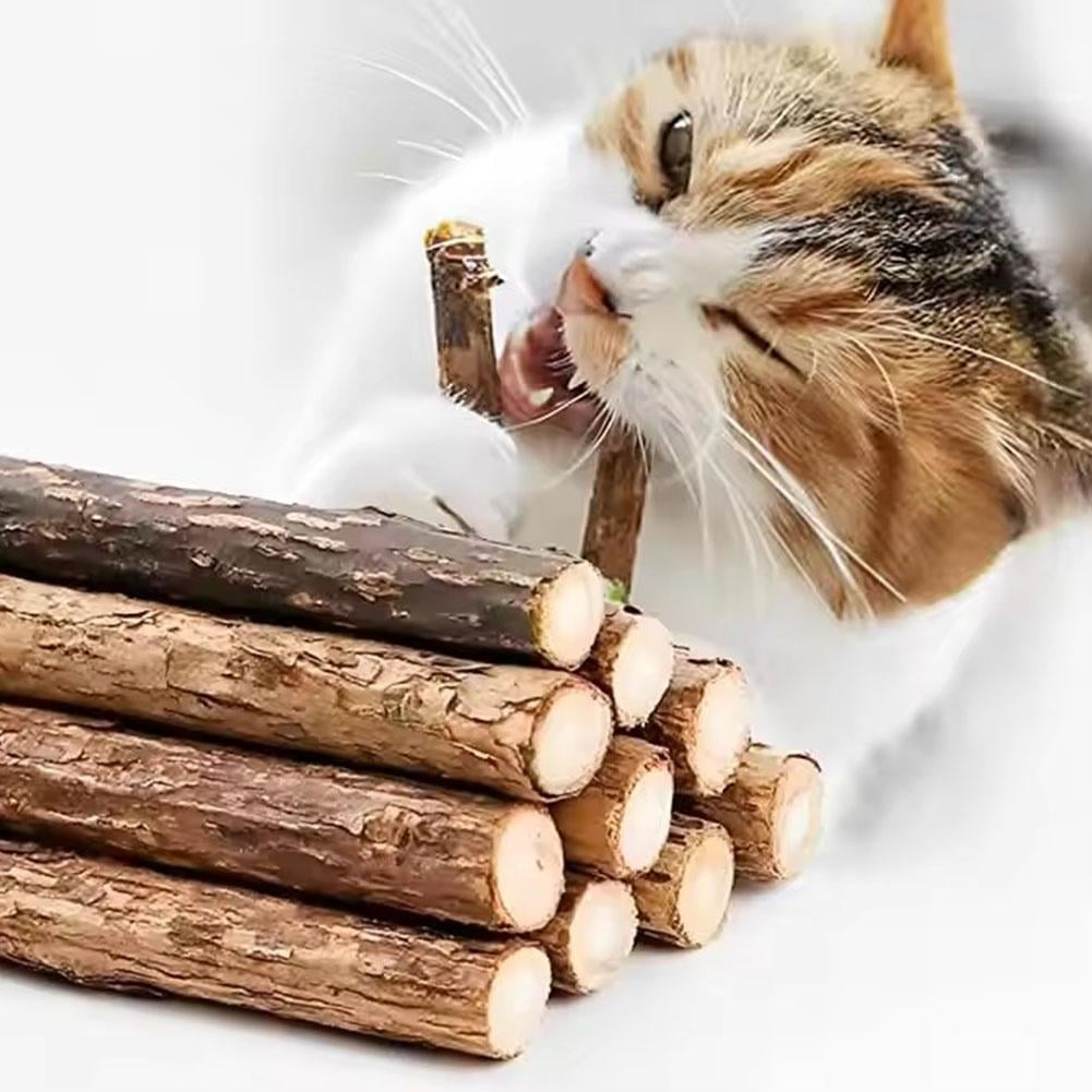 Yiokii Natural Matatabi Cat Chew Sticks Organic Dental Molar Toy (Green, 5 Pack) b2ytl