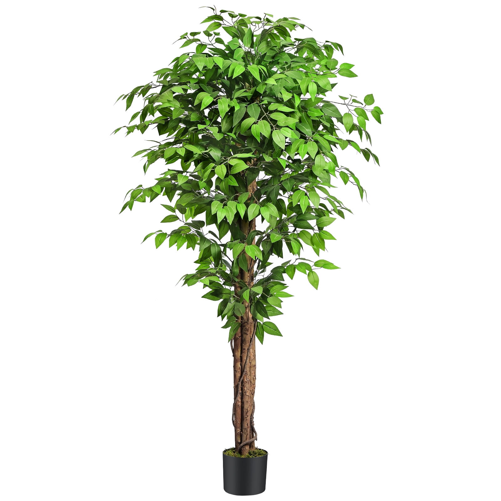 Keeplush Artificial Ficus Tree, Realistic Silk Faux Plant for Indoor and Outdoor Decor (Green, 6 ft) gztq8