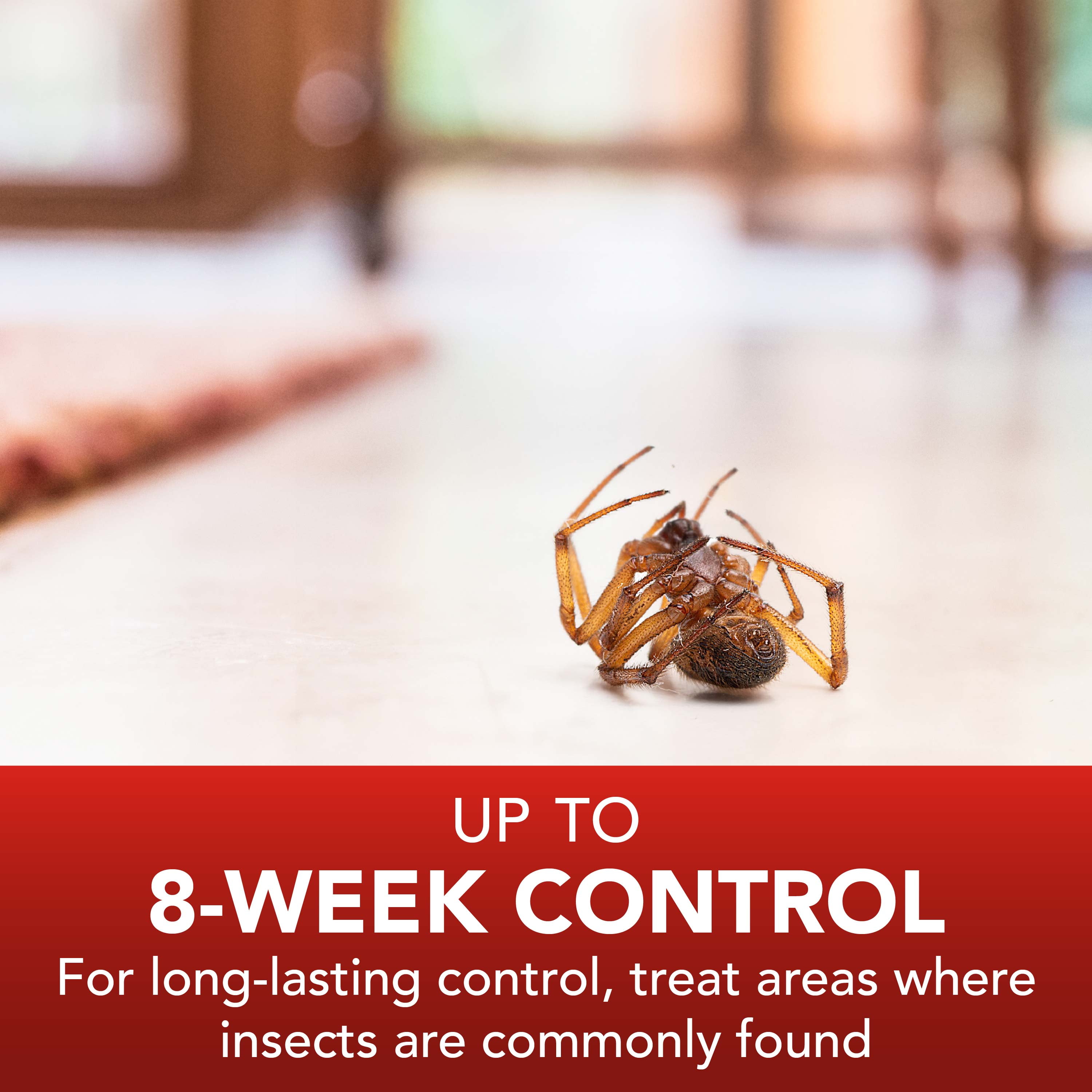 Eliminator Ant, Roach & Spider Killer Insecticide Spray (17.5 oz) 9zosv