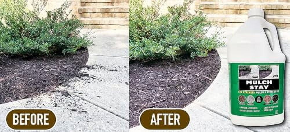 MULCH STAY Landscape Adhesive and Stone Preservative (Clear, 256 fl oz, 2 Pack) m02gz