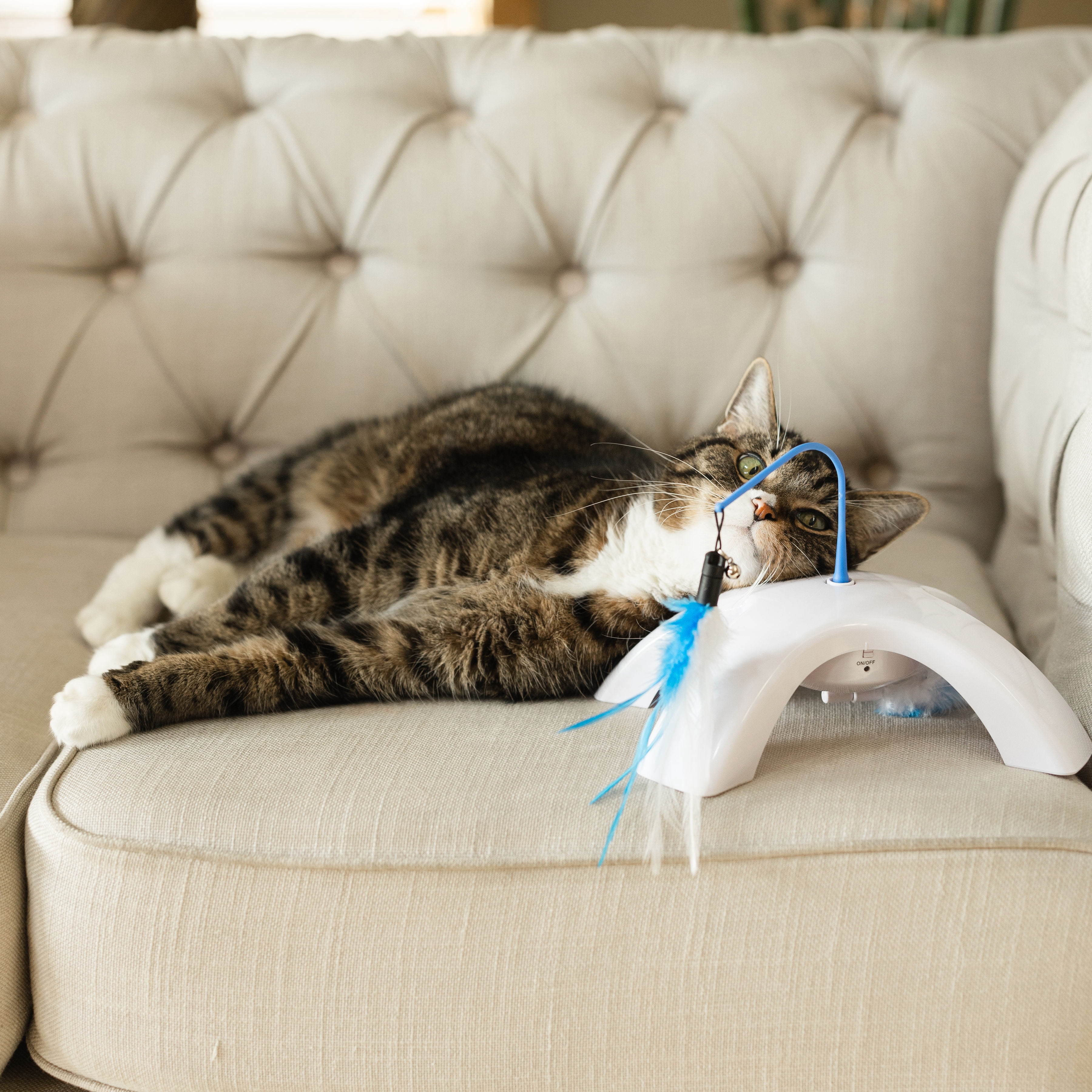 Vibrant Life Dual Swatter Electronic Cat Toy Interactive Motion Pet Play (1 Pack) 2zebh