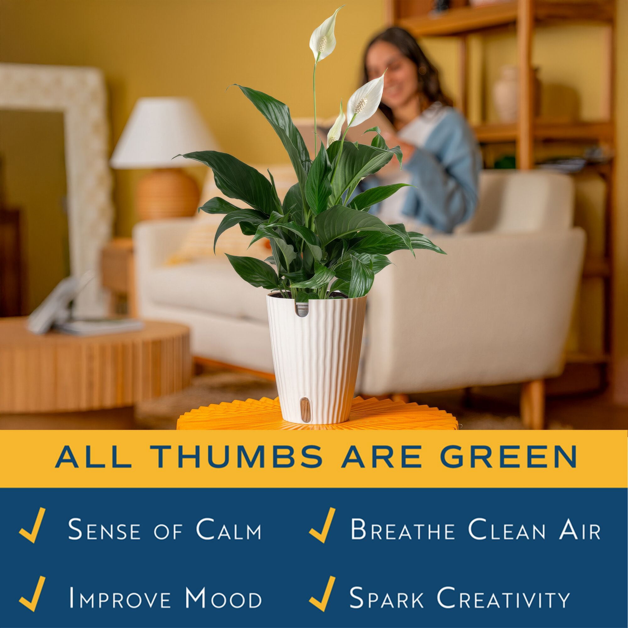 Costa Farms Peace Lily Live Indoor Plant (Green, 12 in Height, 5 in Self-Watering Pot) 20f3c