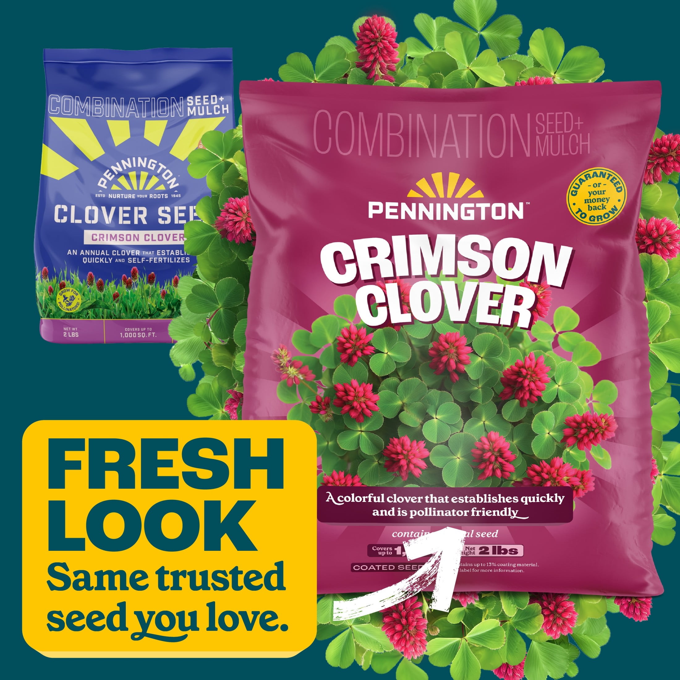 Pennington Crimson Clover Seed (2 lb) t0y1x