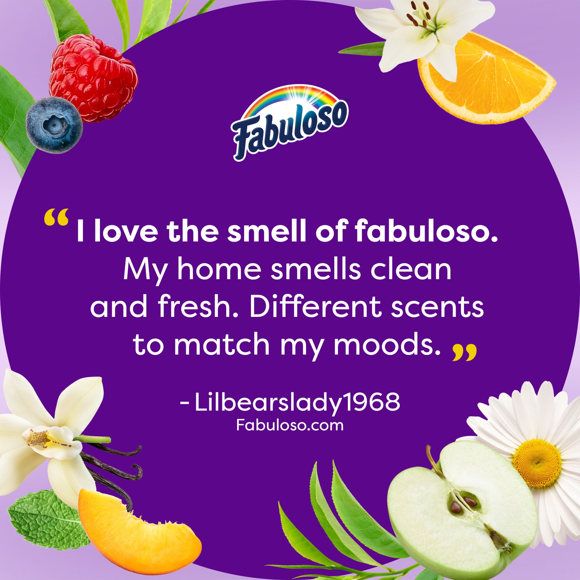 Fabuloso 2X Multi-Purpose Cleaner, Bleach Alternative, Spring Fresh Scent (56 fl oz) e3e2l