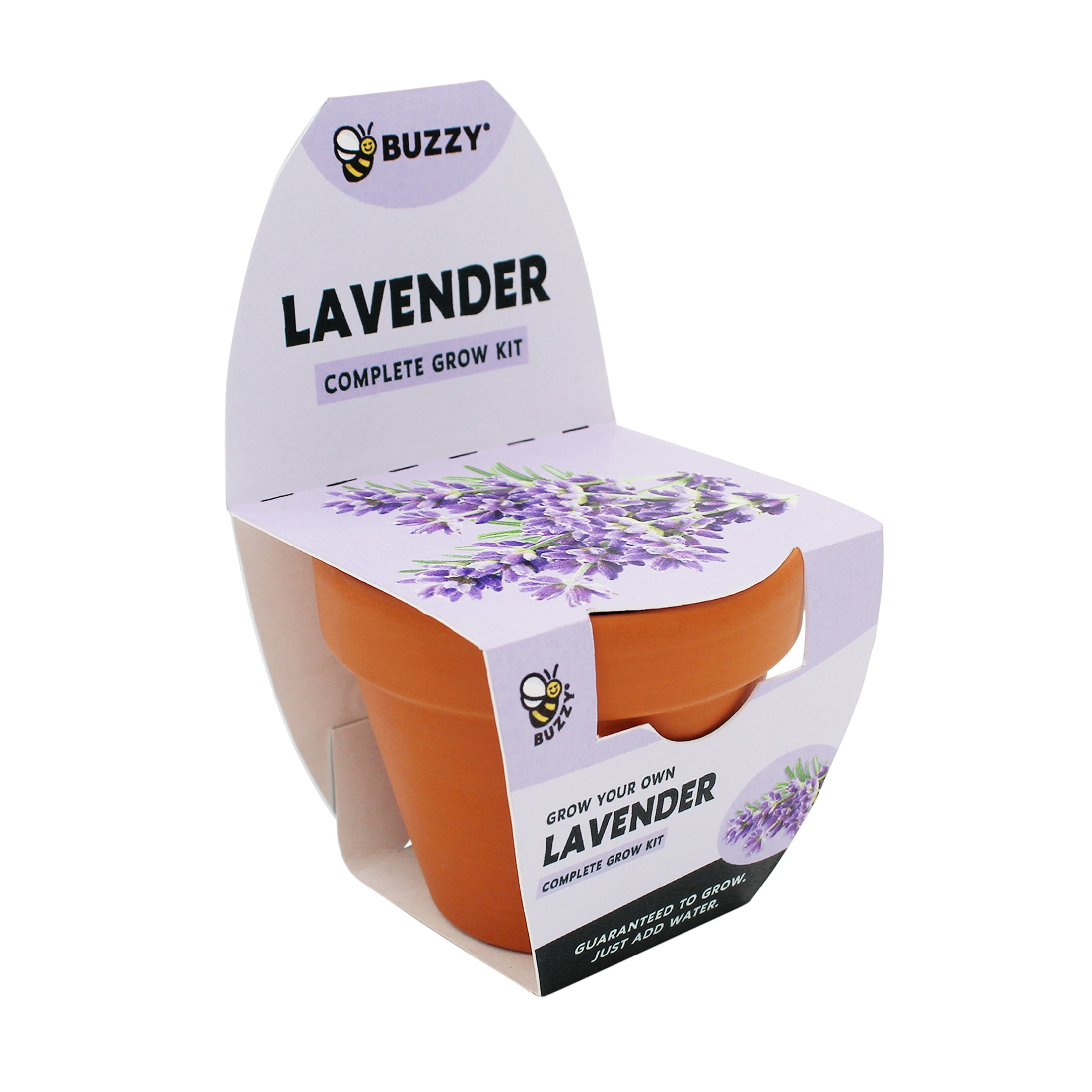 Buzzy Lavender Herb Growing Kit with Terra Cotta Pot (2.75 in) ve37s - Image 3