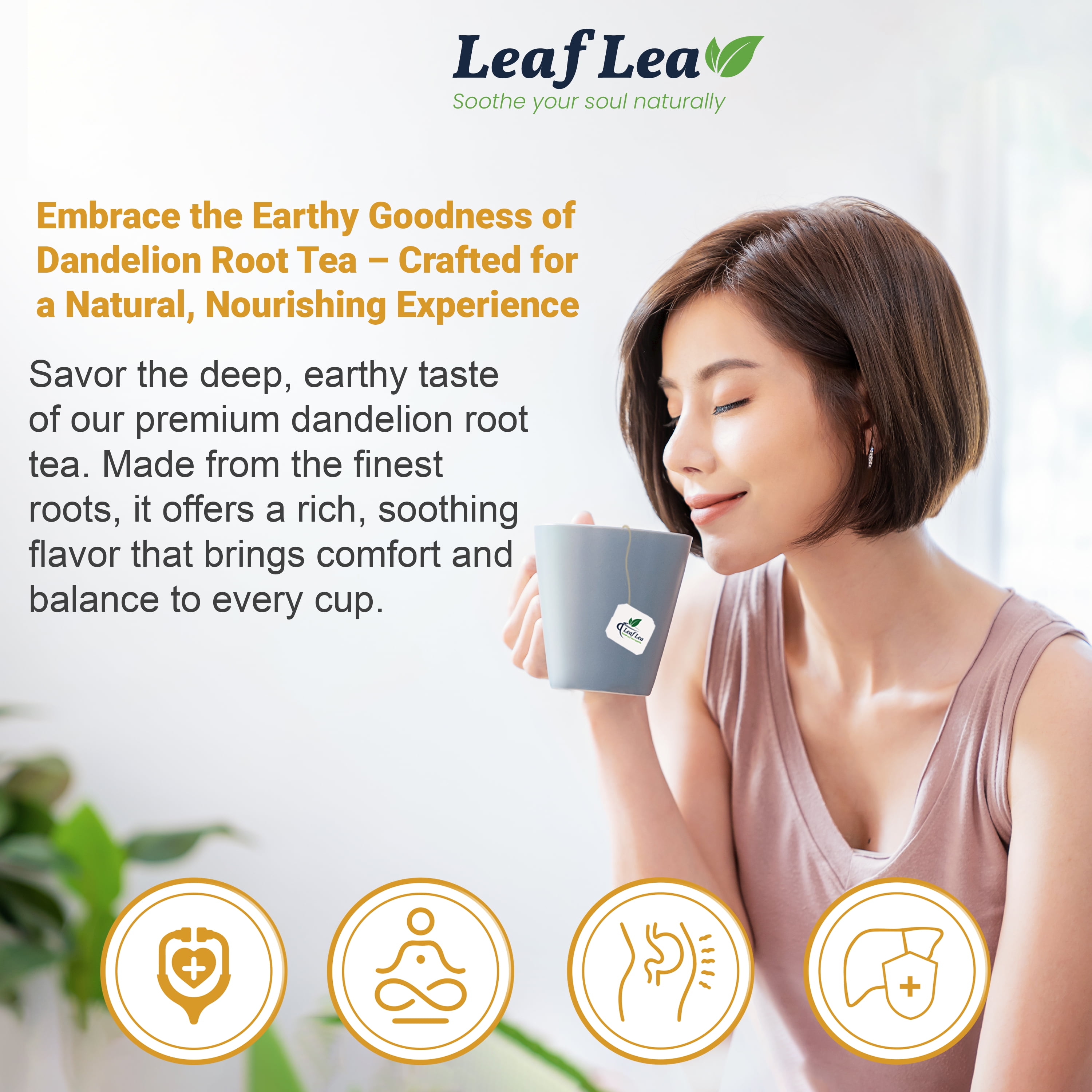 LeafLea Dandelion Root Herbal Tea Bags, Caffeine-Free Natural Tea Blend (240 Count, 6 Packs) l146r