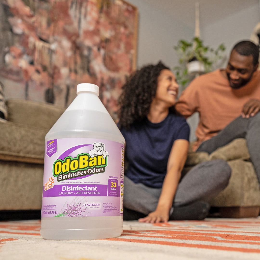 OdoBan Disinfectant Concentrate and Odor Eliminator, Multi-Purpose Cleaner (Lavender Scent, 256 fl oz) 2vssa