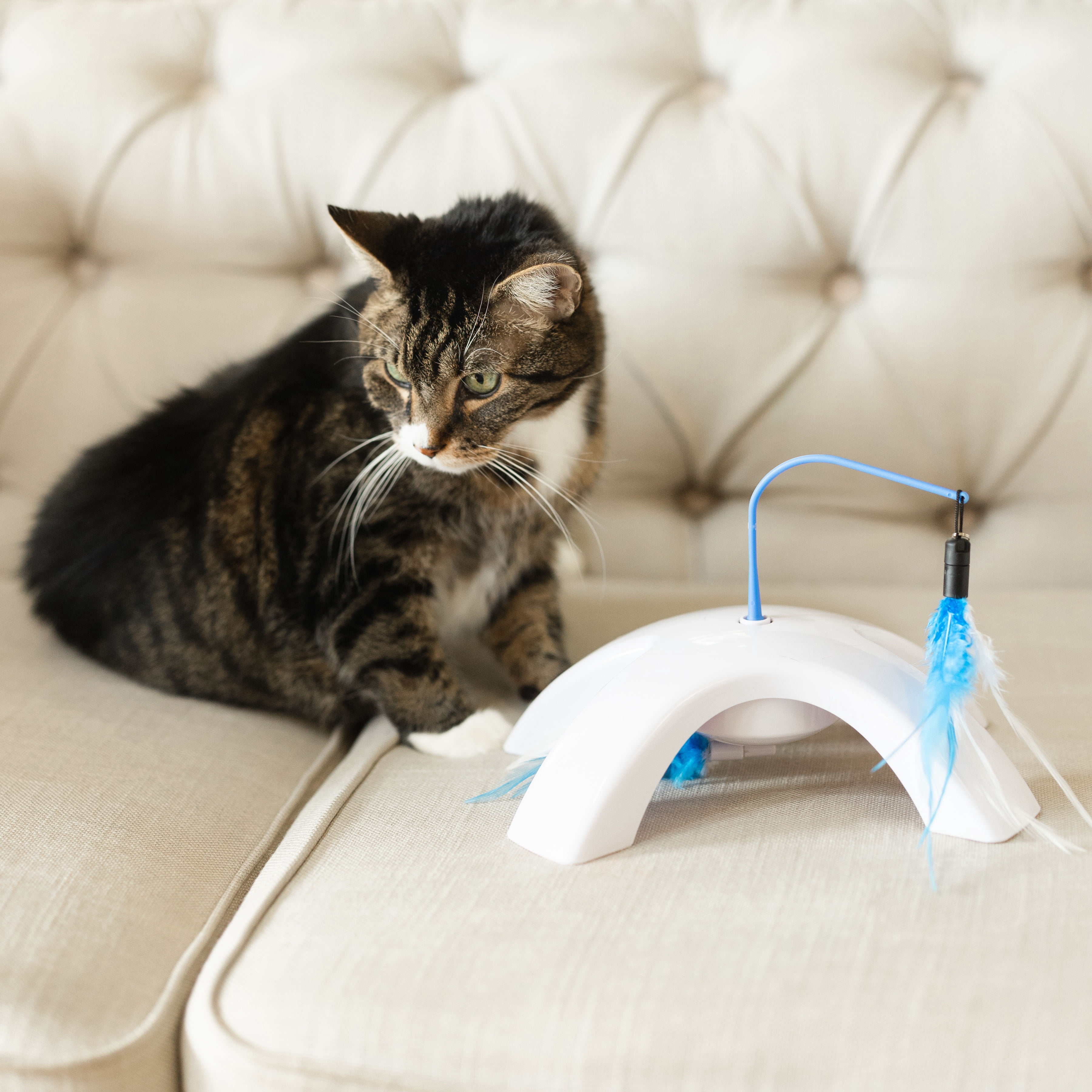 Vibrant Life Dual Swatter Electronic Cat Toy Interactive Motion Pet Play (1 Pack) 2zebh