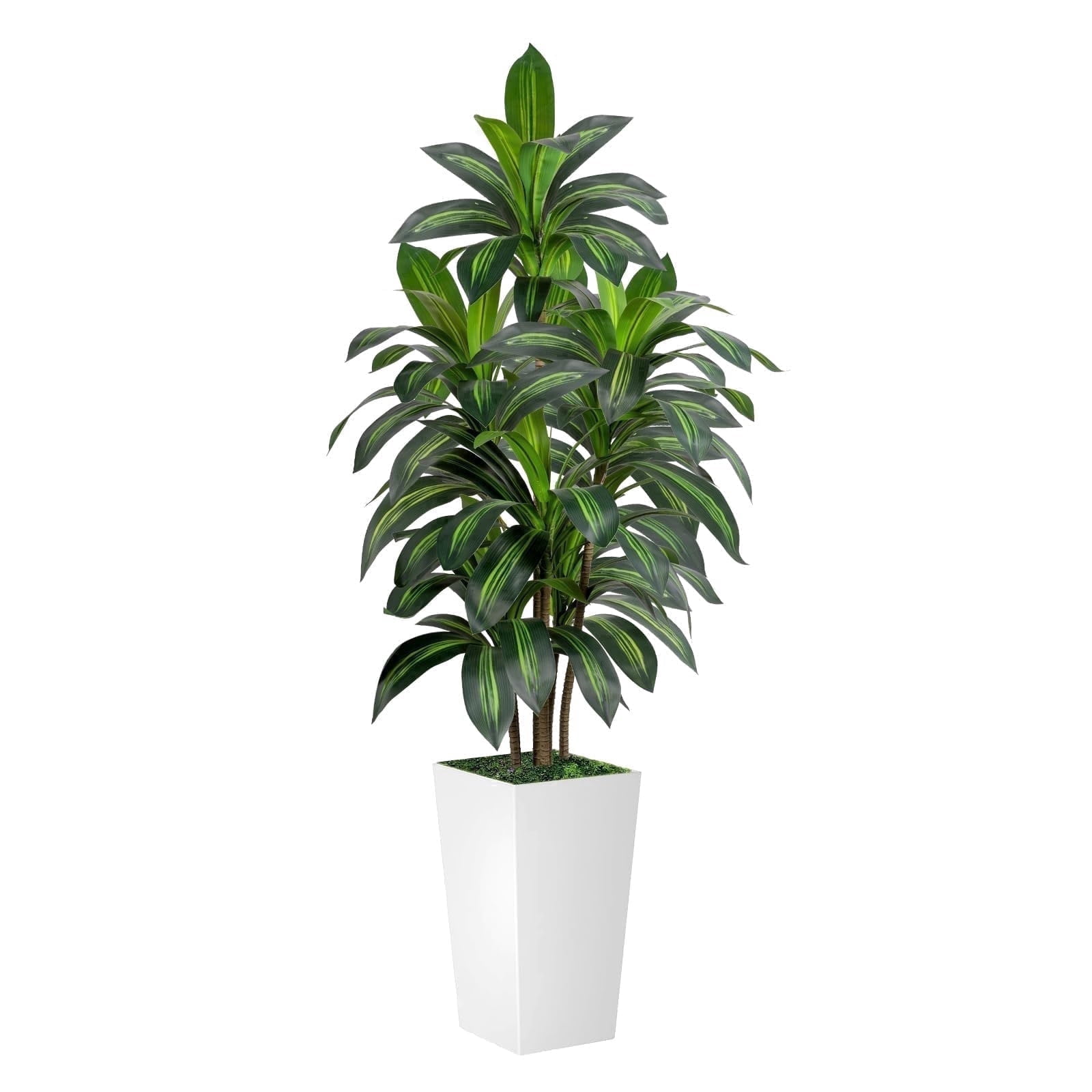 ROMSWI Artificial Dracaena Tree with Modern Square Planter (White, 5 ft) c4mt6