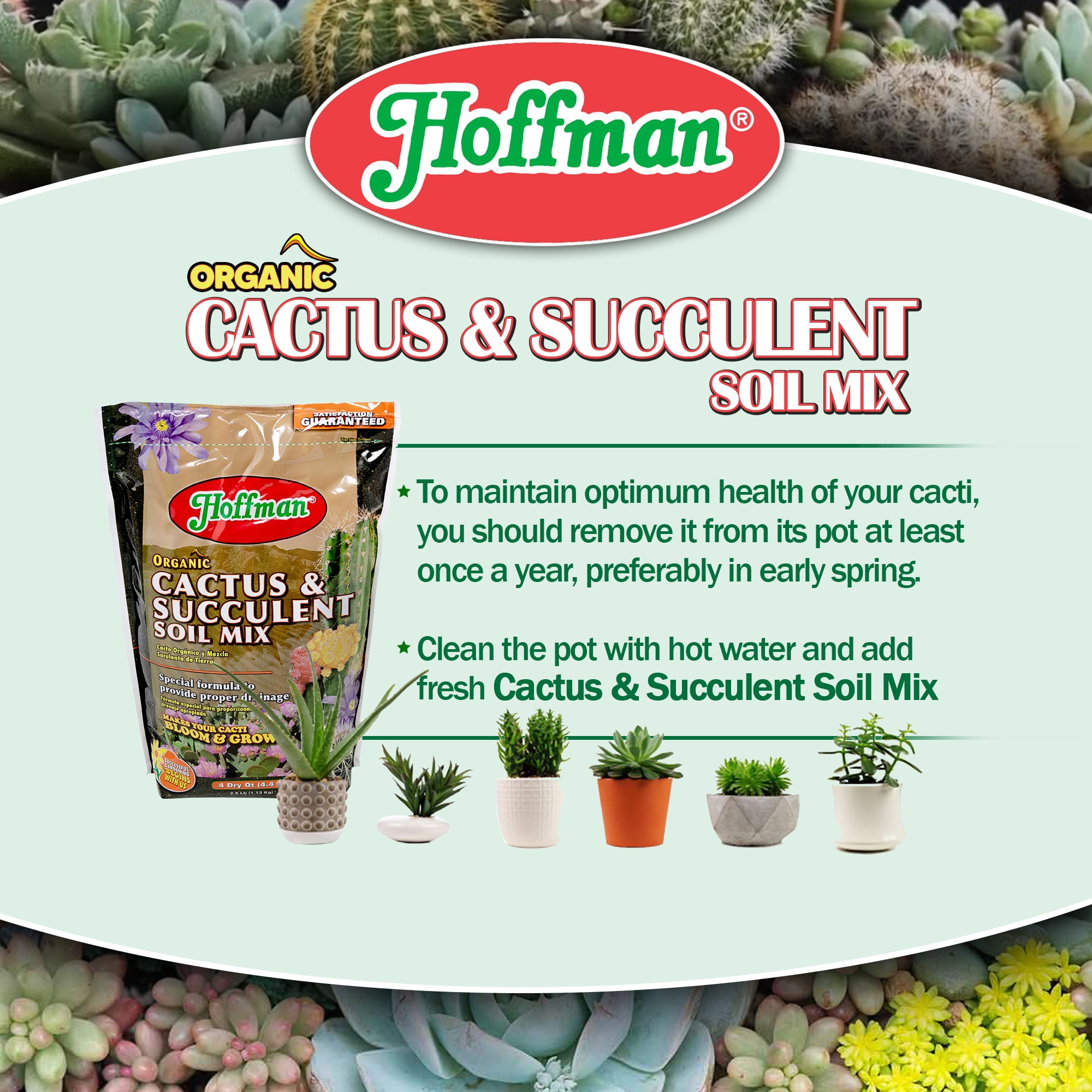 Hoffman Organic Cactus and Succulent Soil Mix (Professional Drainage Formula, 2.5 lb) upj7e