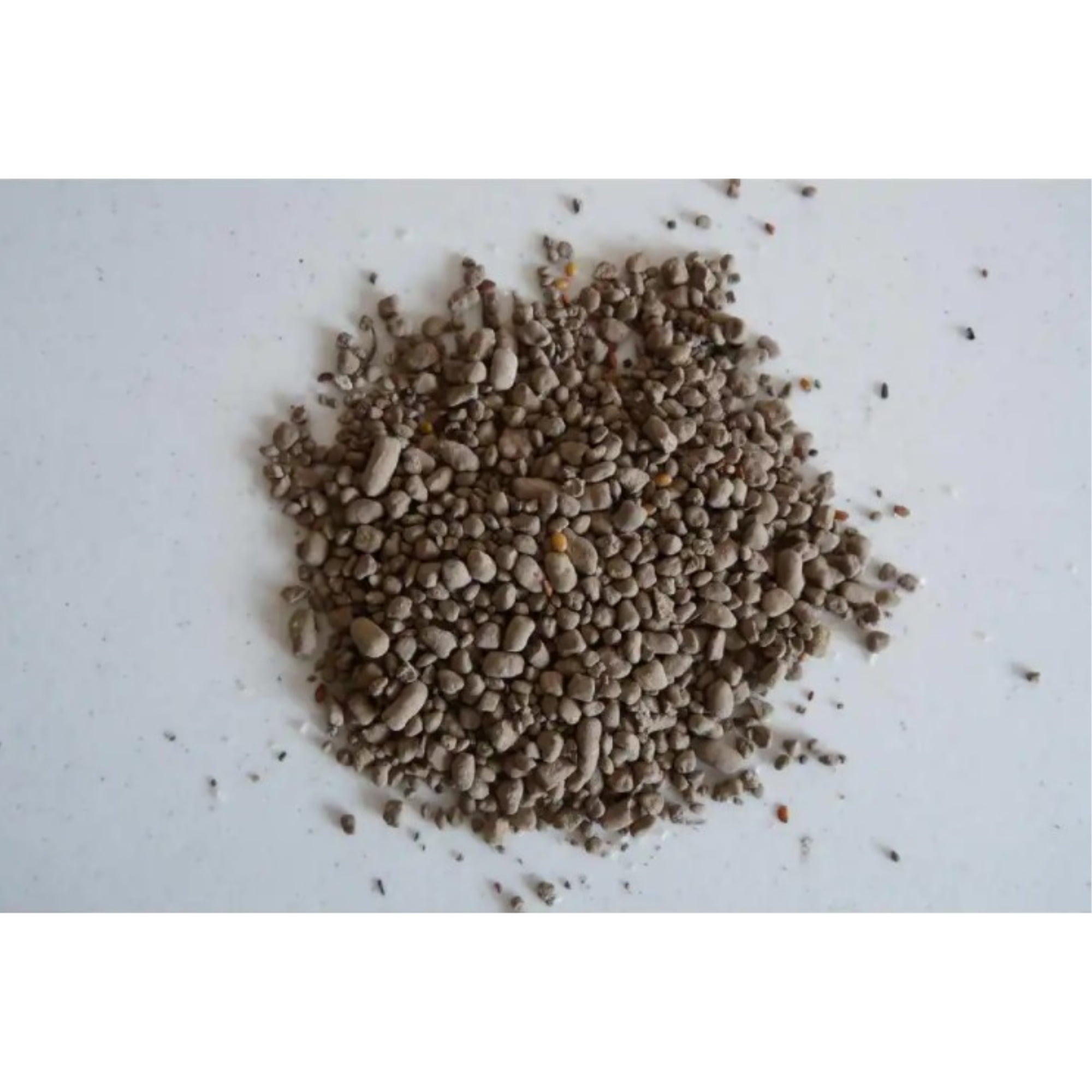 Earth Science Zinnia Wildflower Mix Seed and Soil Conditioner (2 lb) yil8n