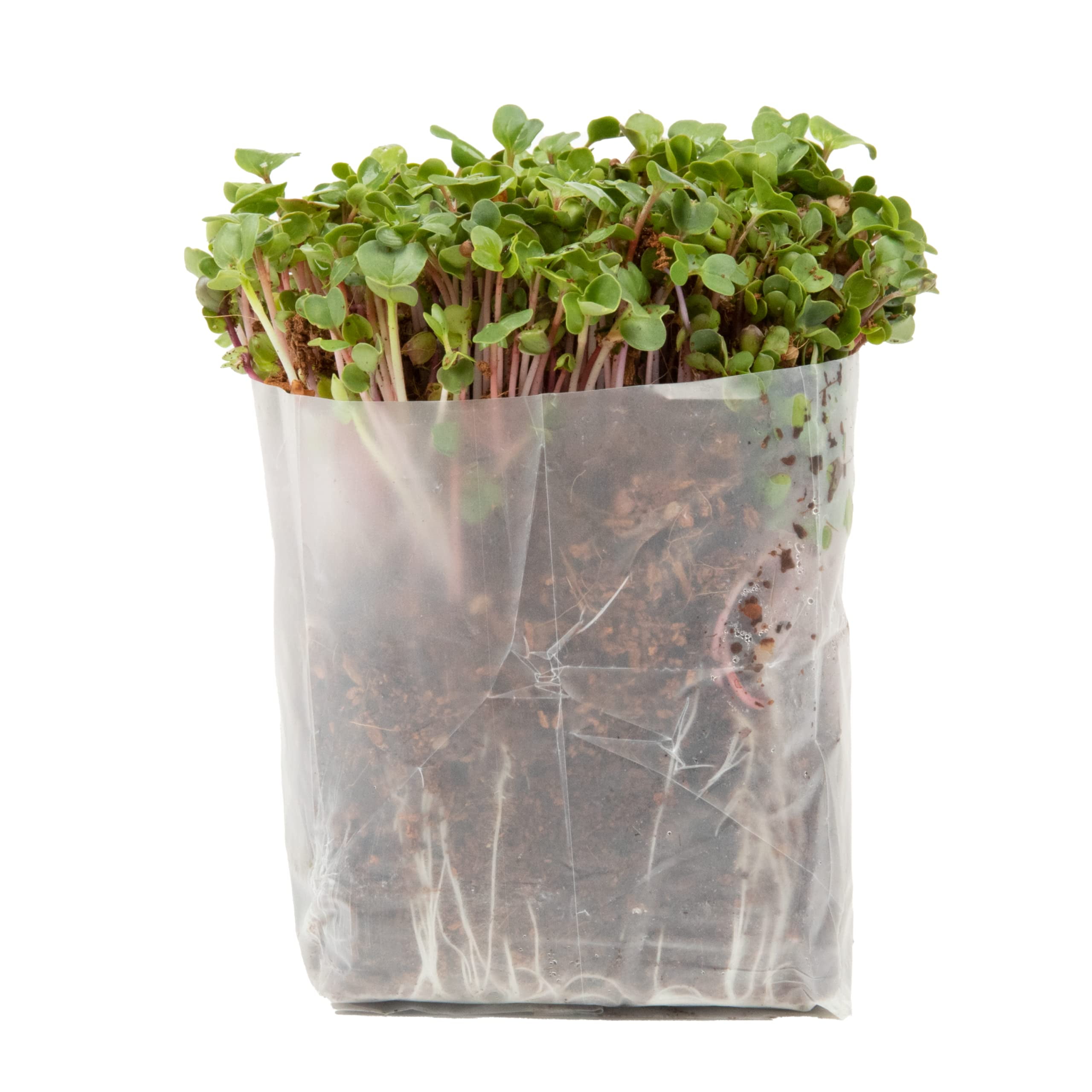 Window Garden Organic Fiber Potting Soil Mix with Hydrating Bag (10 qt) gc34c