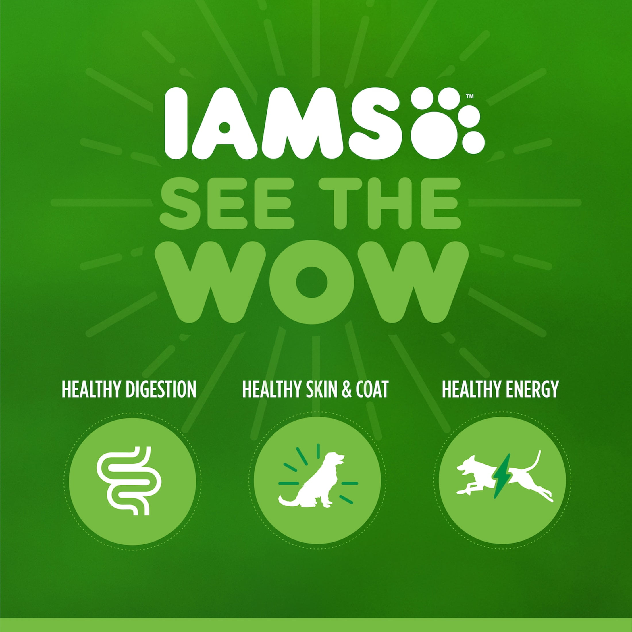 Iams Proactive Health Chicken and Turkey Dry Cat Food (7 lb) aihnf