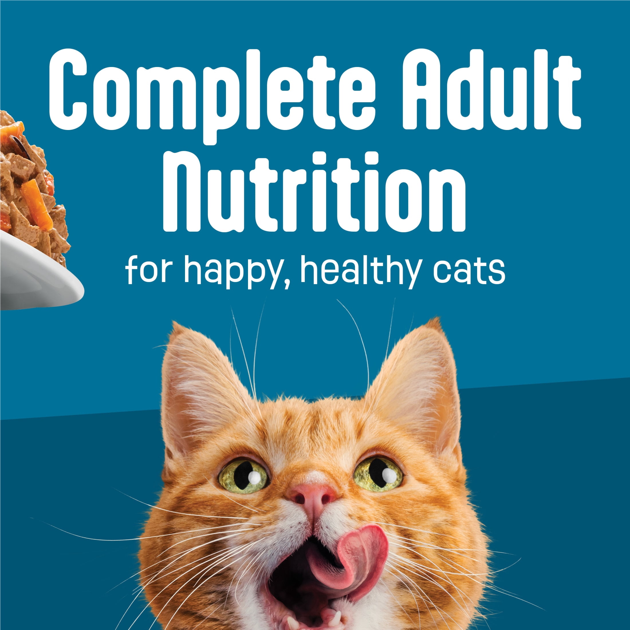 Friskies Lil' Soups Wet Cat Food Salmon Recipe (Savory Broth, 5.5 oz) ww4yn