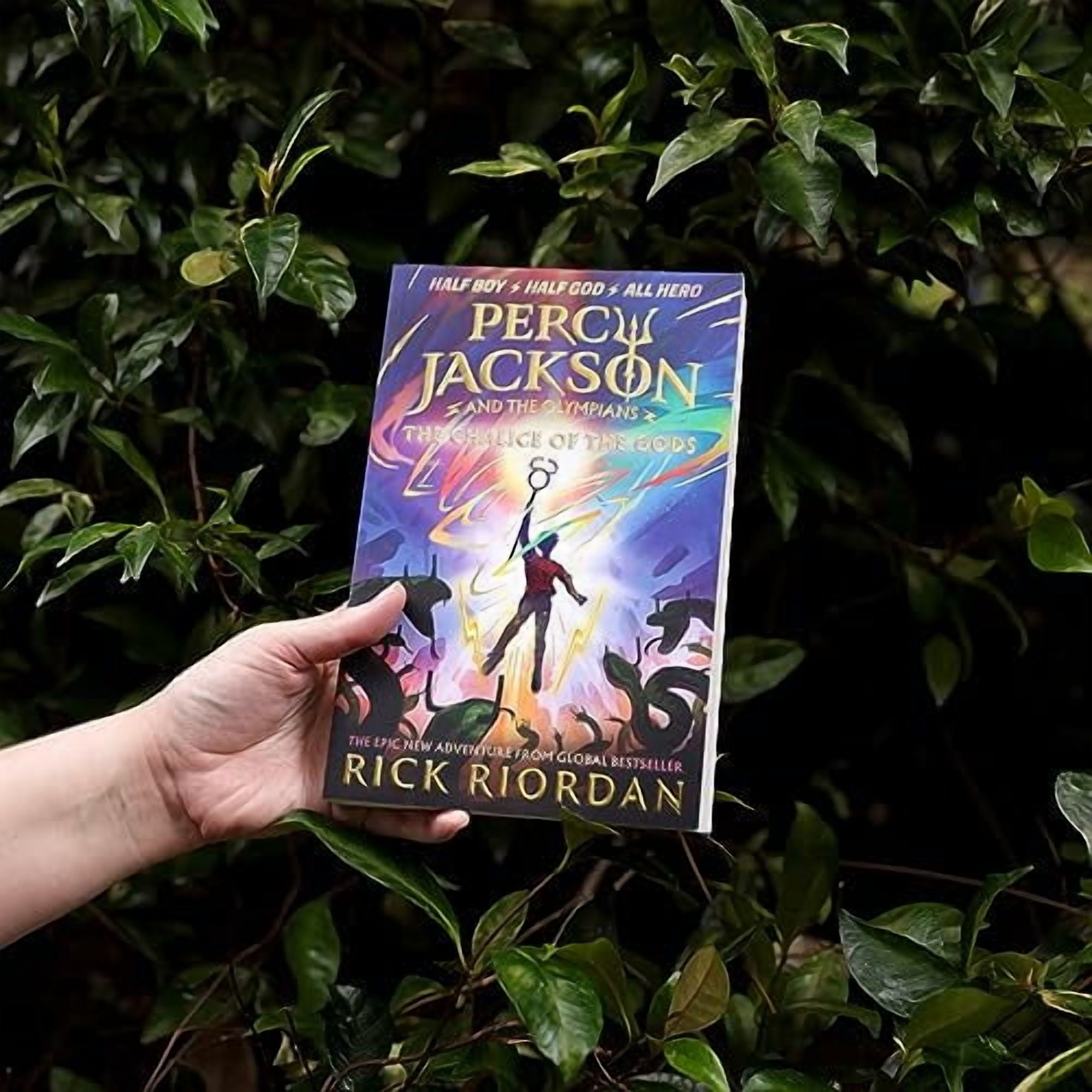 Puffin The Chalice of the Gods by Rick Riordan (Percy Jackson Series, Paperback) srhed