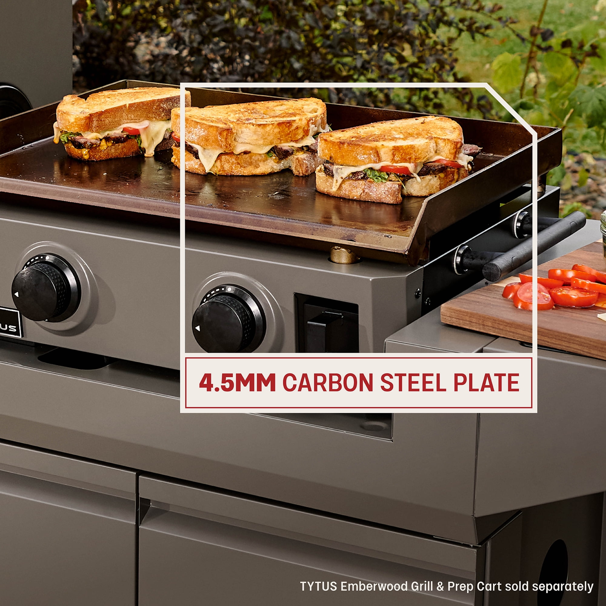 TYTUS Emberwood 2-Burner Outdoor Griddle (Grey, 22 in) 1a005
