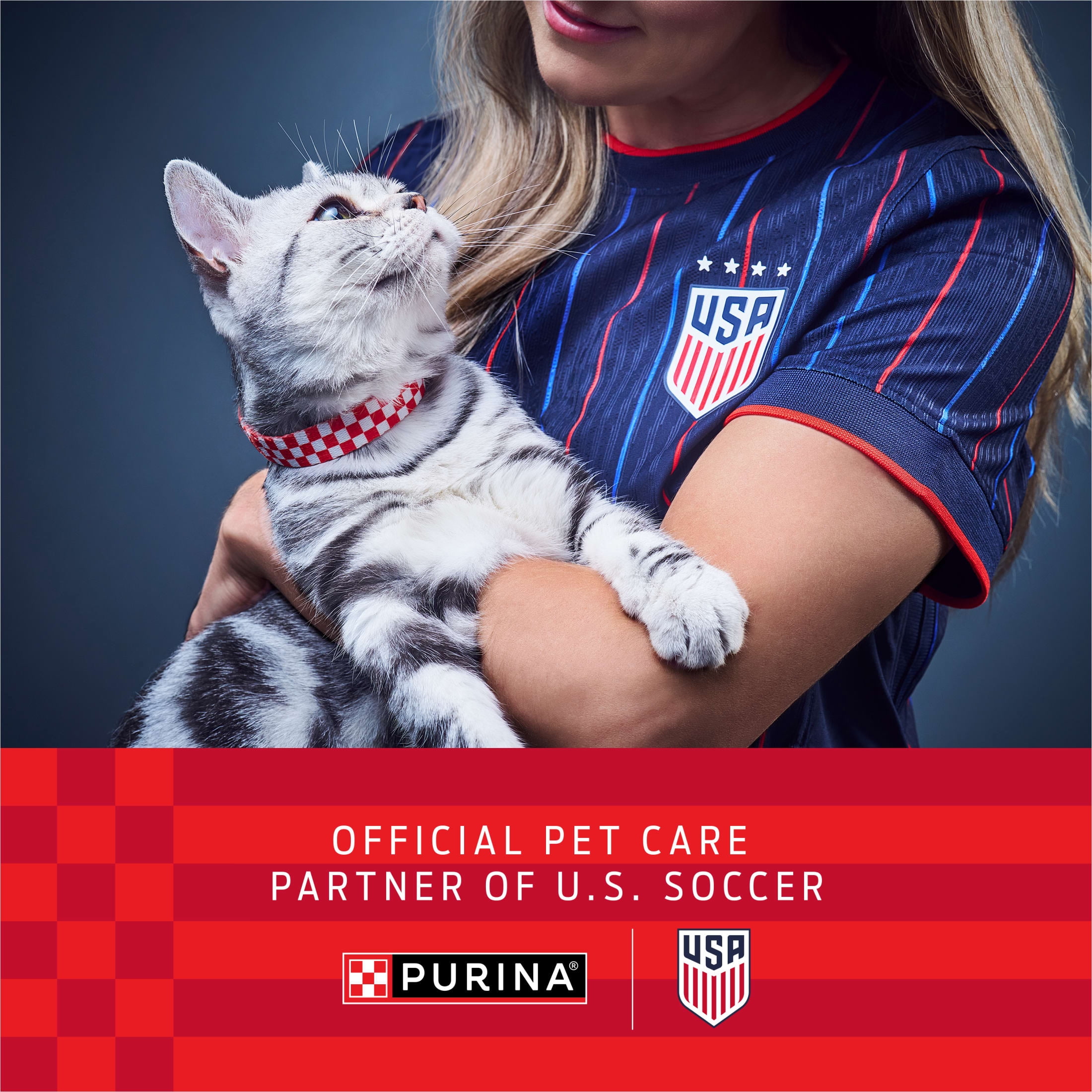 Purina Cat Chow Naturals Dry Cat Food, Chicken and Salmon Recipe (18 lb) fncso