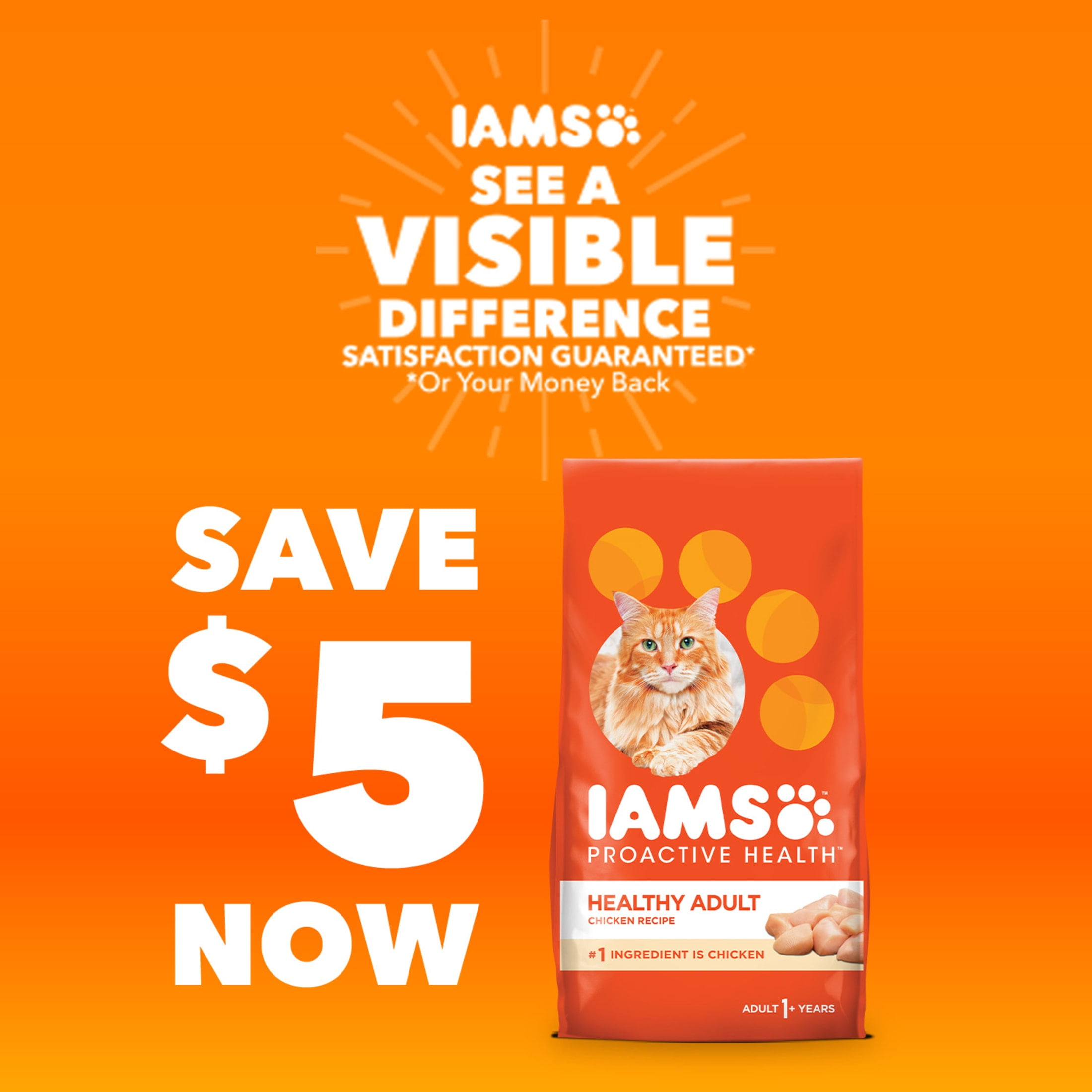 Iams Proactive Health Chicken and Turkey Dry Cat Food (7 lb) aihnf