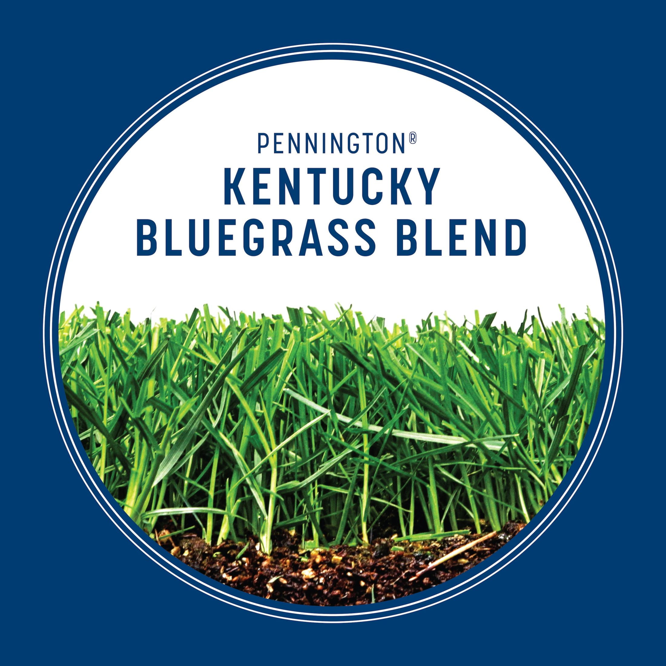 Pennington Kentucky Bluegrass Northern Grass Seed Mix (Sun to Partial Shade, 3 lb) 1u0vo