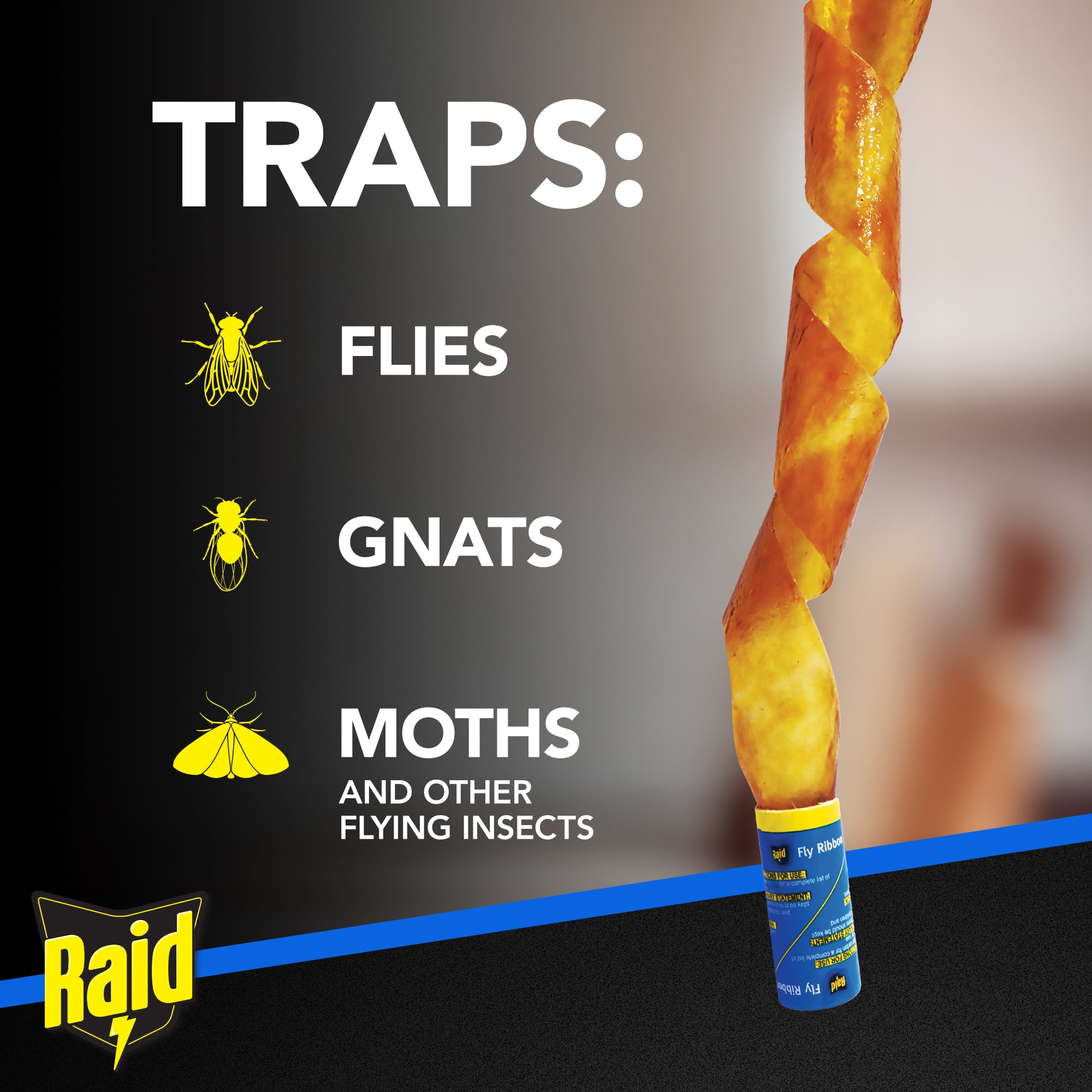 Raid Fly Ribbons Indoor and Outdoor Flying Insect Traps (10 Count) ry21o