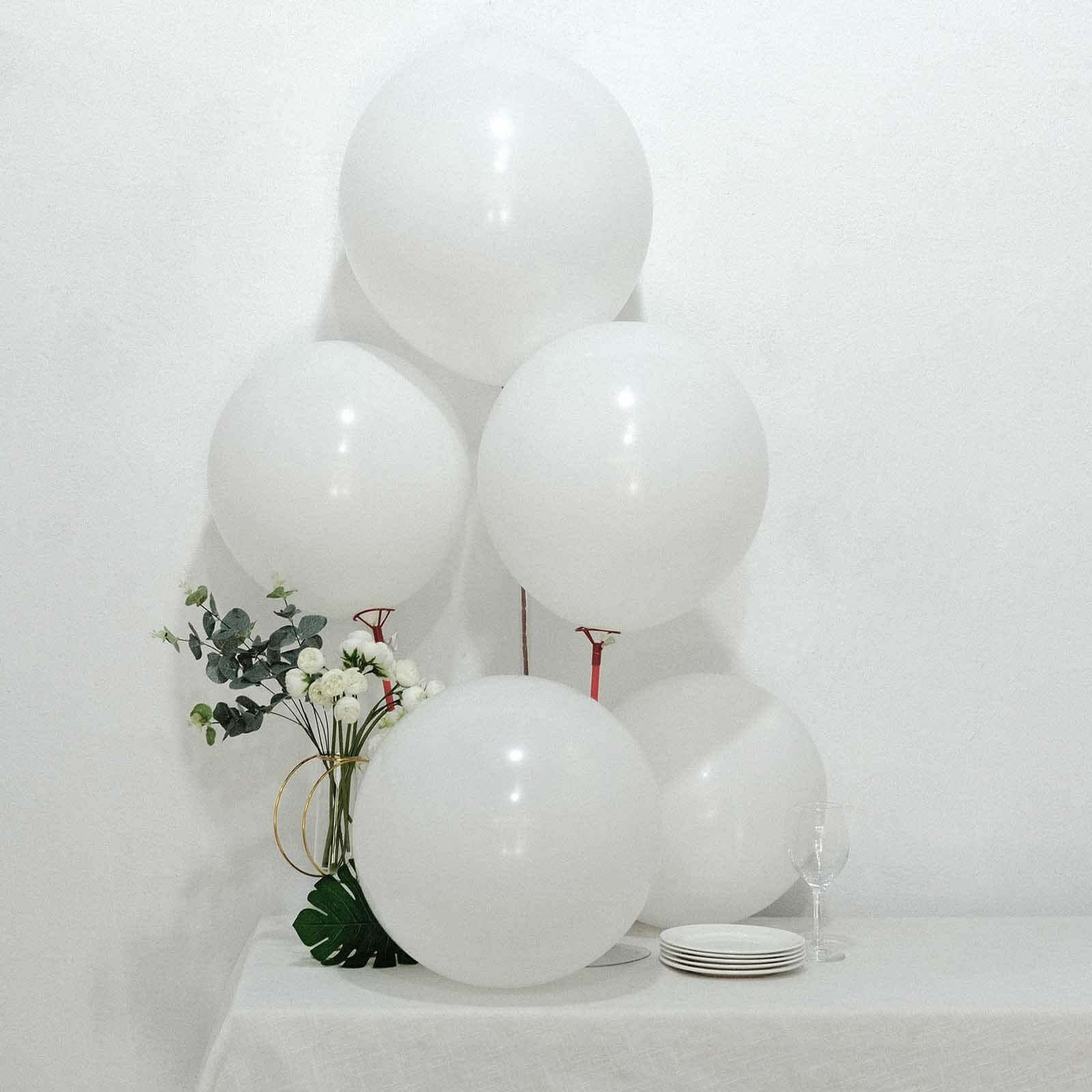 Efavormart Matte Pastel Latex Party Balloons (White, 18 in, 10 Pack) ctor6