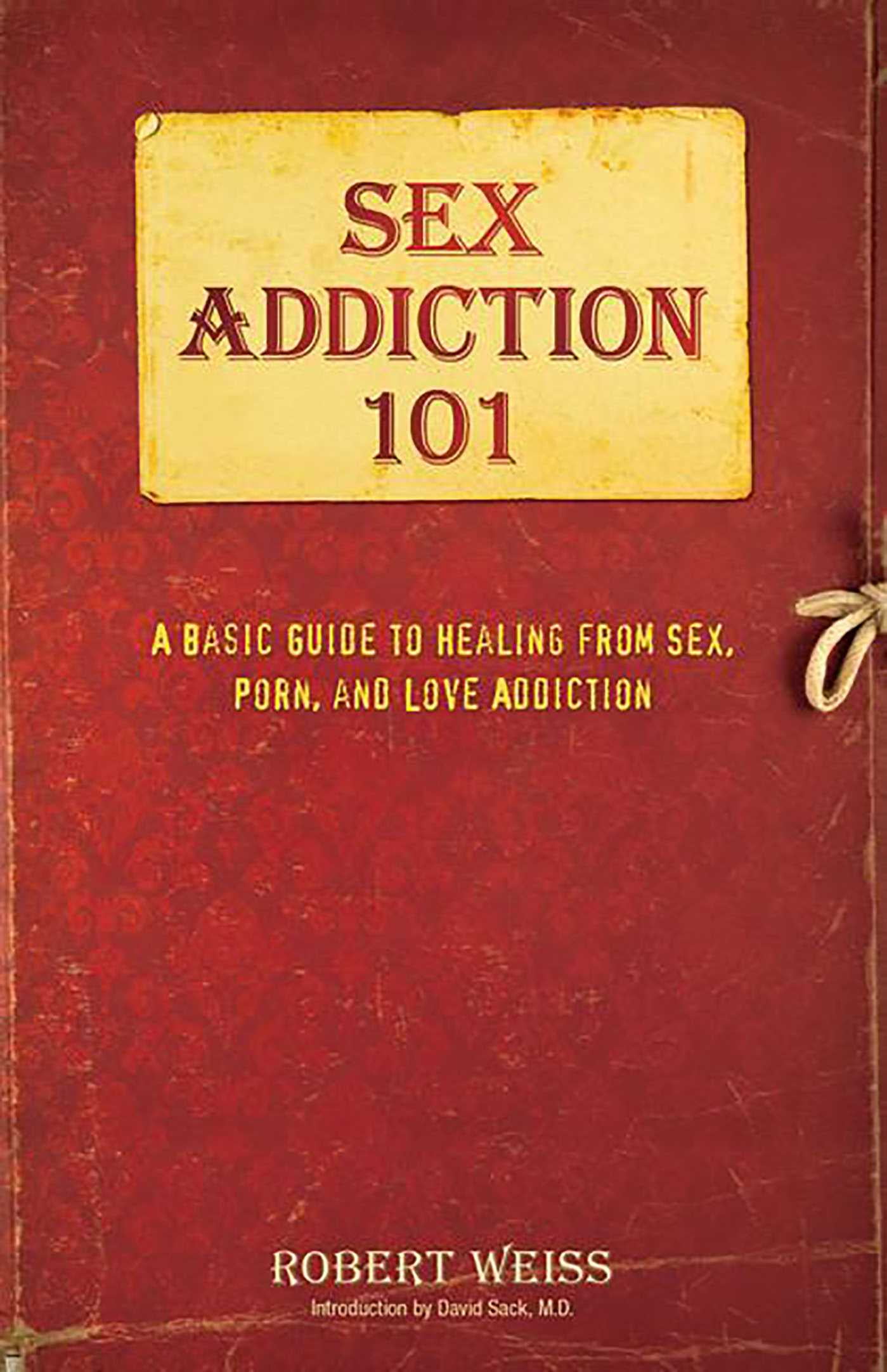M S W Robert Weiss Sex Addiction 101: A Basic Guide to Healing from Sex, Porn, and Love Addiction (Paperback) 5ih9a