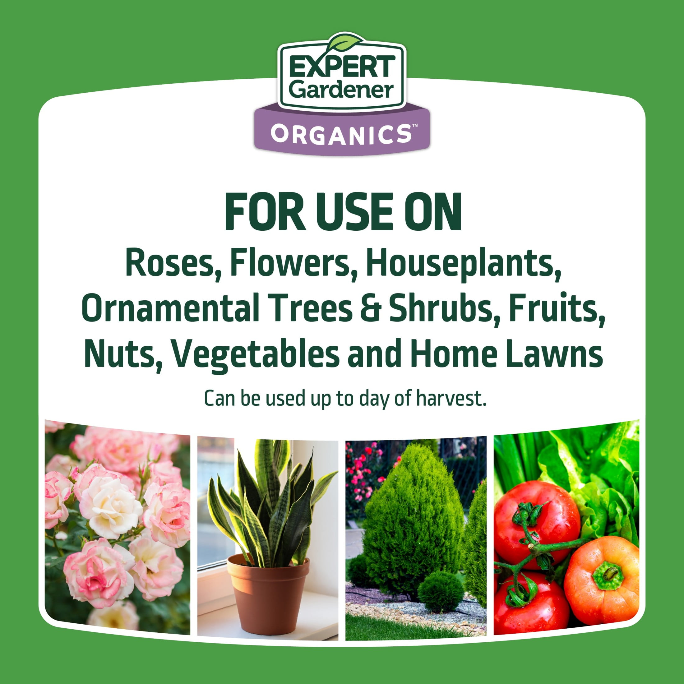 Expert Gardener Neem Oil Ready to Use Insecticide Fungicide and Miticide (32 fl oz) yqe5y