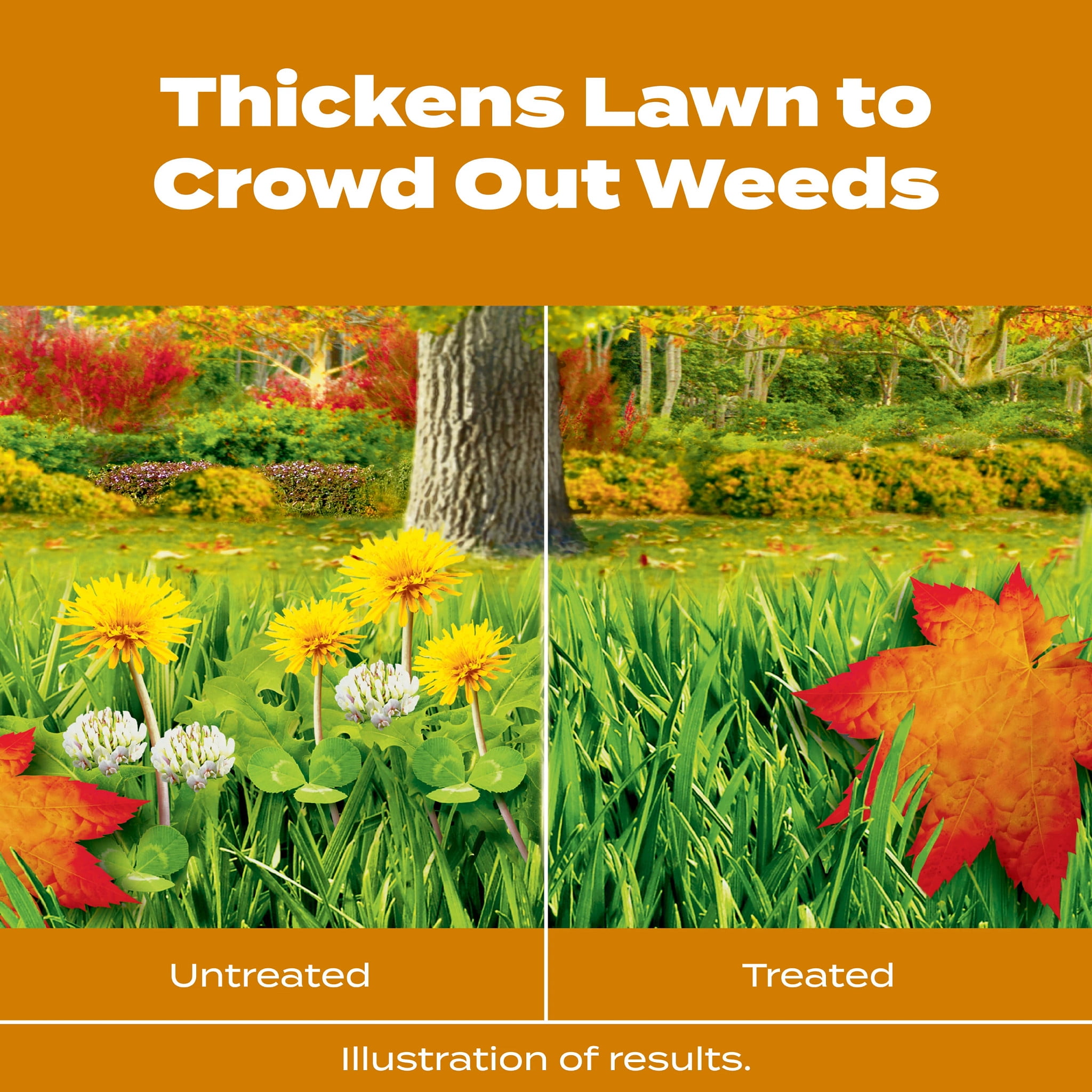 Scotts Turf Builder WinterGuard Fall Weed & Feed Lawn Fertilizer (11.28 lb) bkx3y