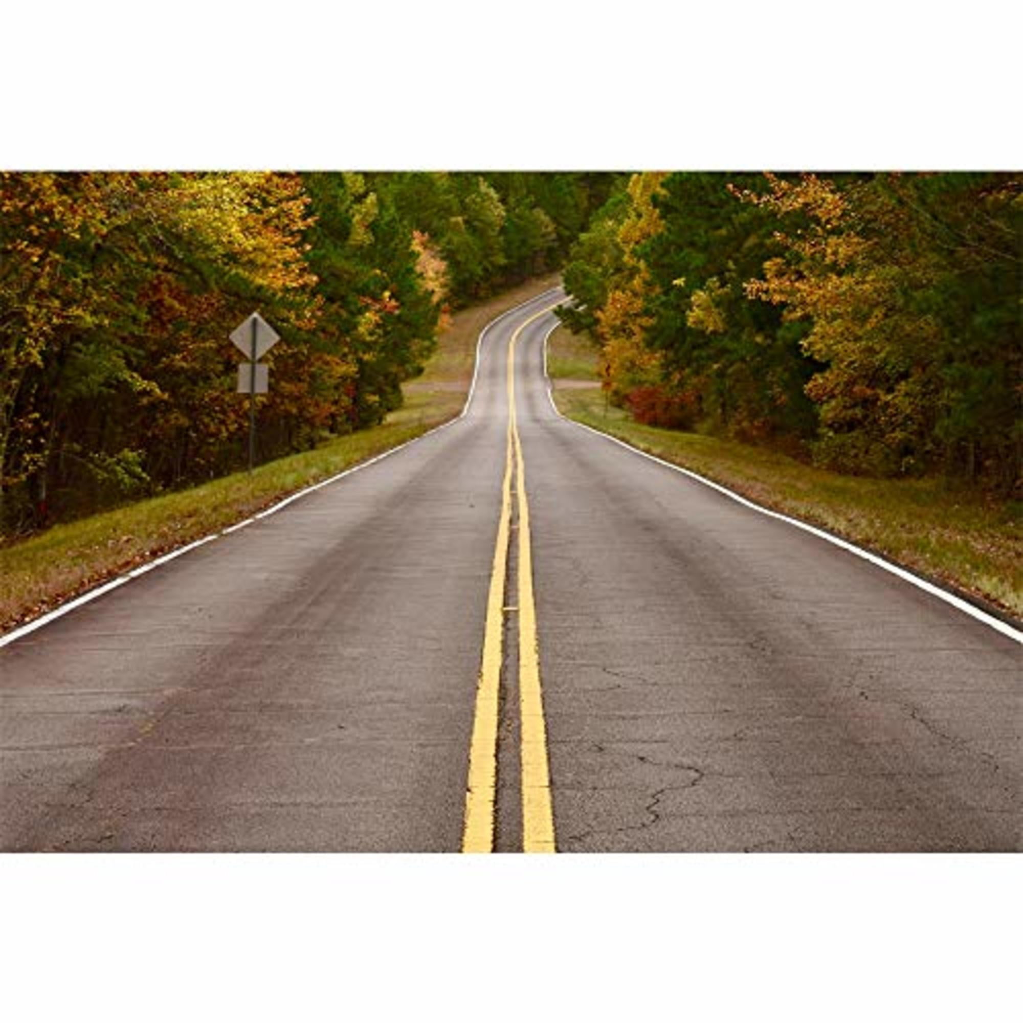 IDEA4WALL Highway Peel and Stick Wall Mural Removable Adhesive Decor (6-Piece Set, 100 in x 144 in) emj6y