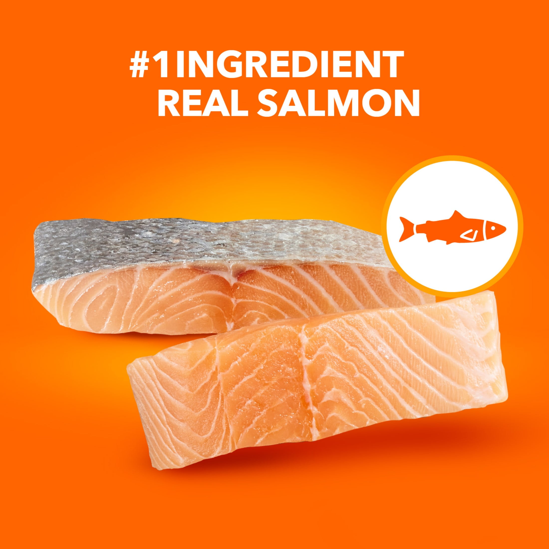 Iams Proactive Health Adult Dry Cat Food, Salmon Recipe (7 lb) xc9cr