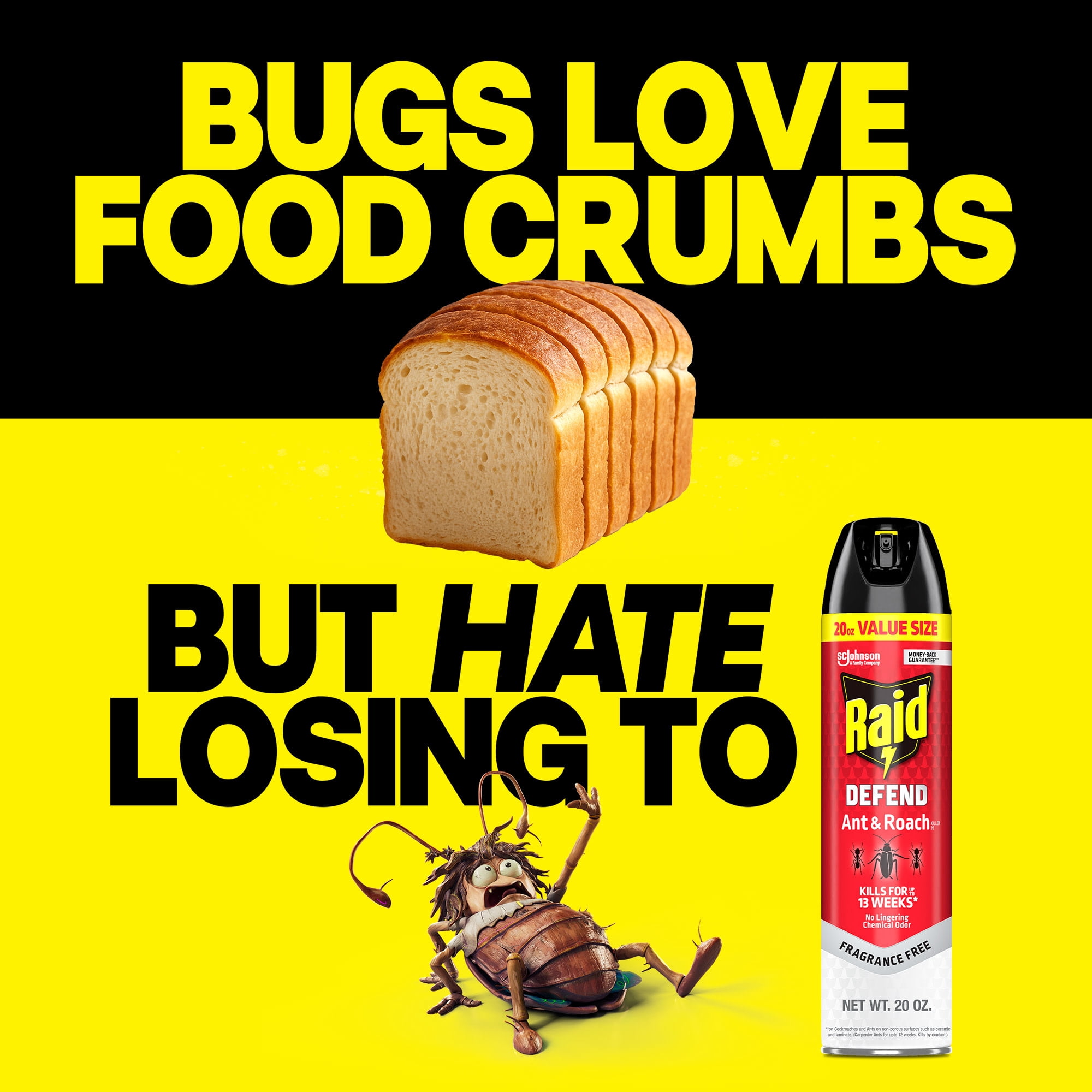Raid Ant & Roach Killer Indoor Insecticide Spray (Fragrance Free, 20 oz) s92o8