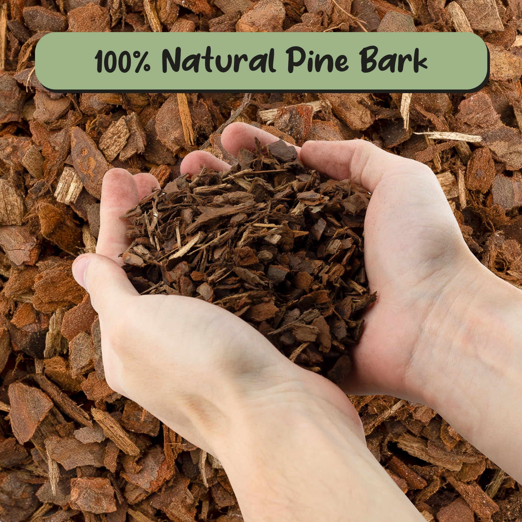 Soil Sunrise Organic Orchid Potting Bark, All-Natural Pine Bark Mix for Aeration and Drainage (8 Quarts) 3sfr1