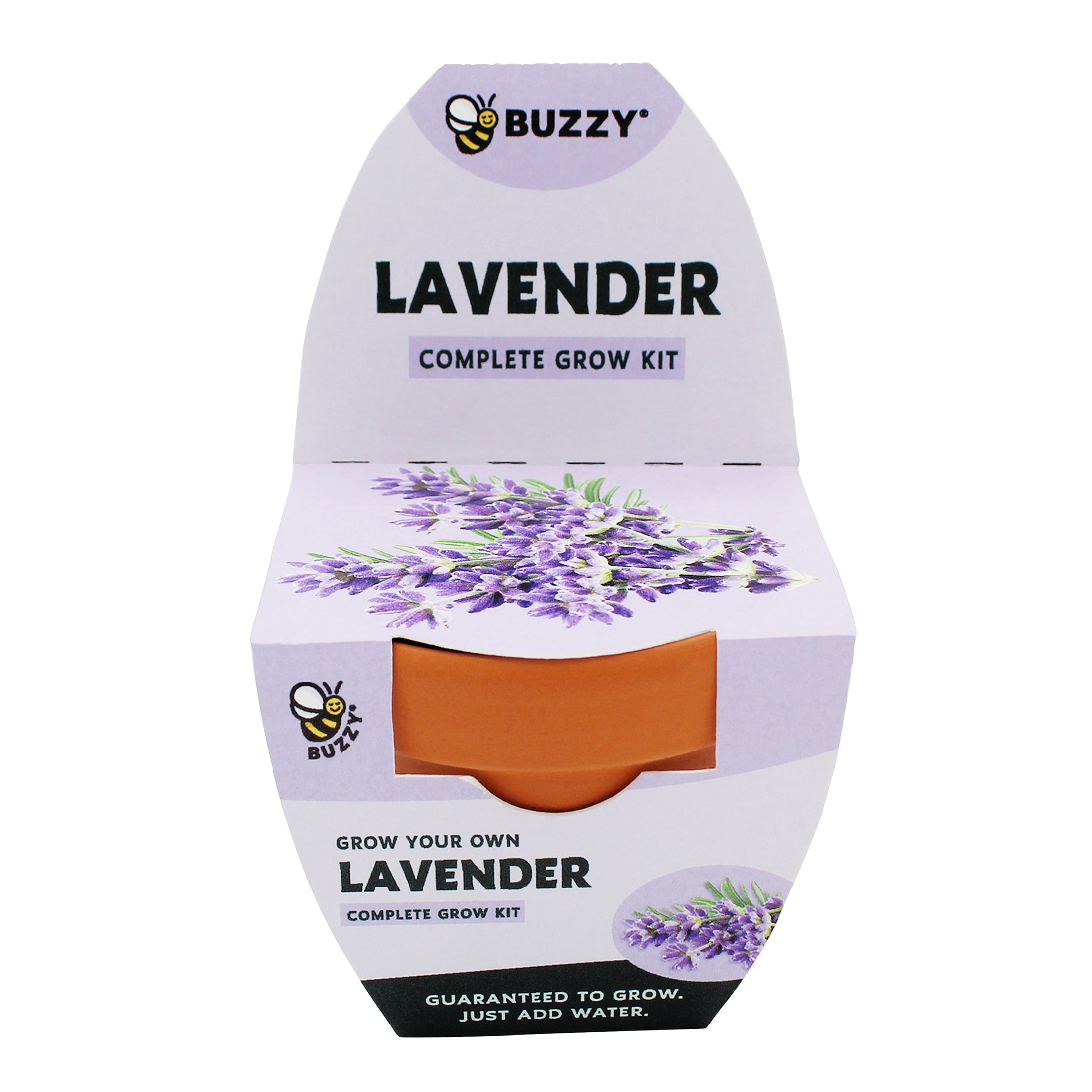 Buzzy Lavender Herb Growing Kit with Terra Cotta Pot (2.75 in) ve37s