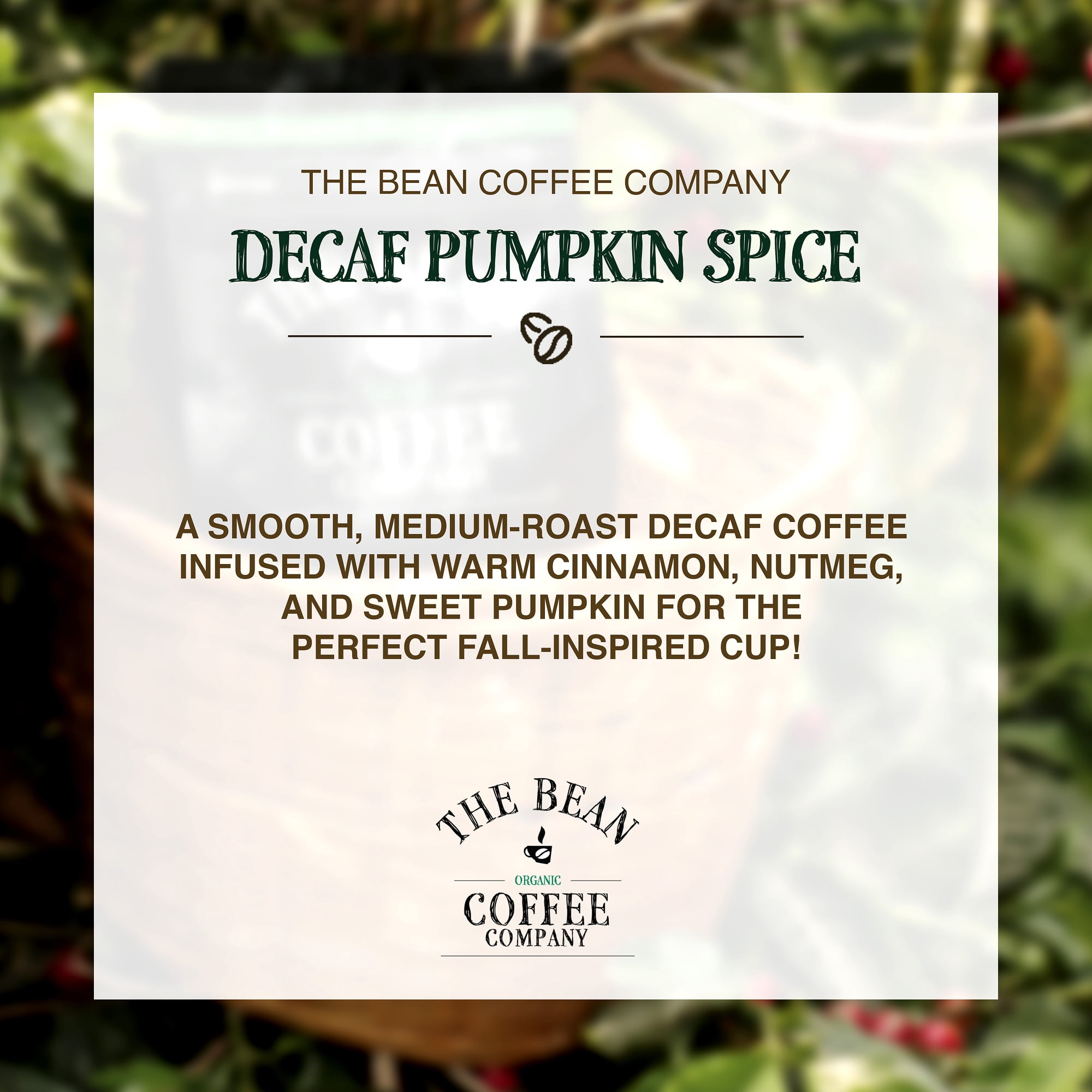 The Bean Organic Coffee Company Pumpkin Spice Decaf Medium Roast Ground Coffee (32 oz) dqlyu
