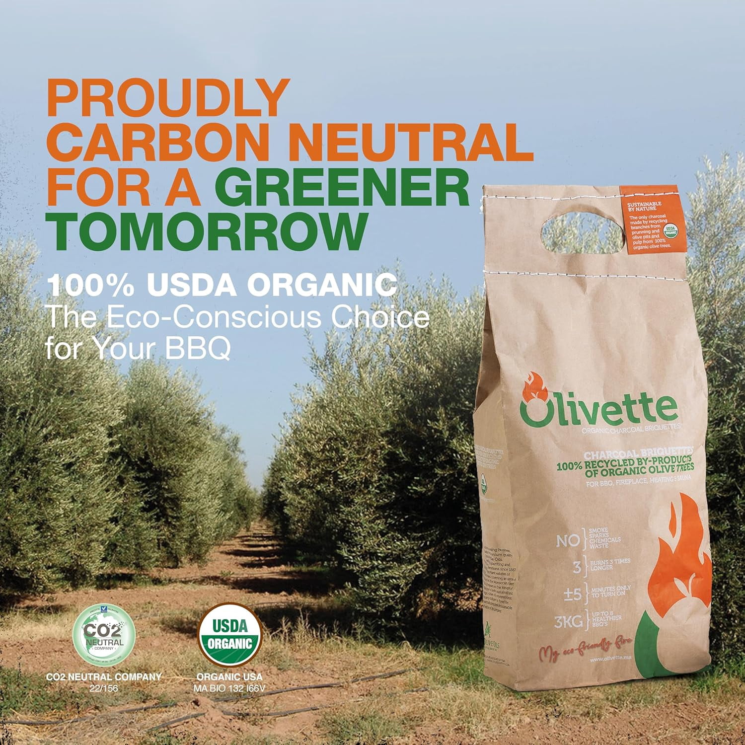 Eco-Charcoal Organic Olive Wood Briquettes, Sustainable BBQ Grilling Fuel (6.6 lb) v1bll