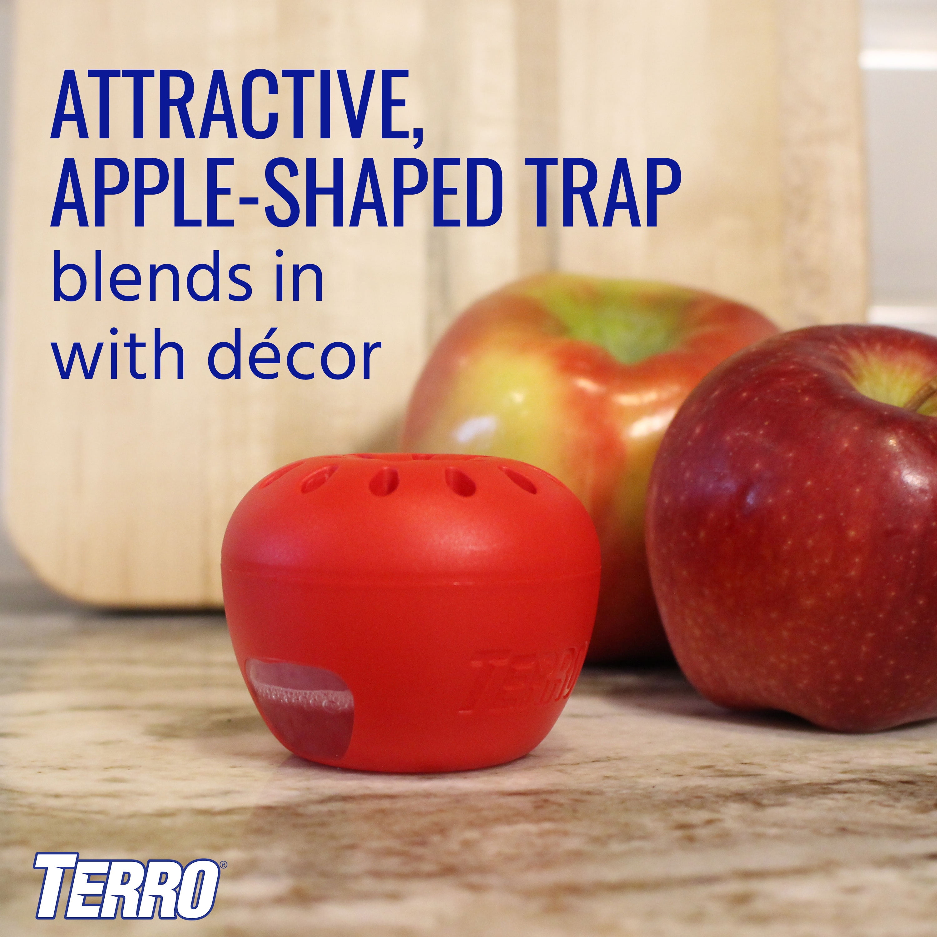TERRO Fruit Fly Trap, Indoor Pest Control for Kitchen and Home (6 Pack) yp9gn