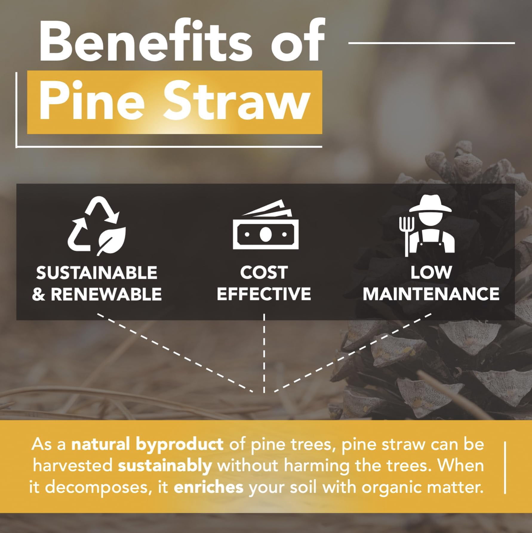 Home and Country USA Premium Pine Straw Mulch for Landscaping and Gardening (Natural Brown, 4 lb) tf0rb