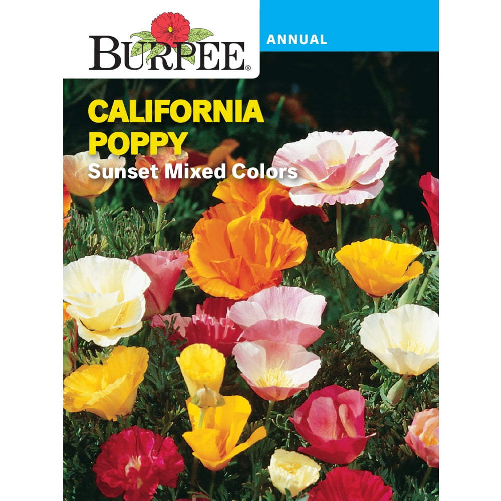Burpee Sunset Mixed California Poppy Flower Seeds (Multi-Color, 1 Pack) 3hwf9