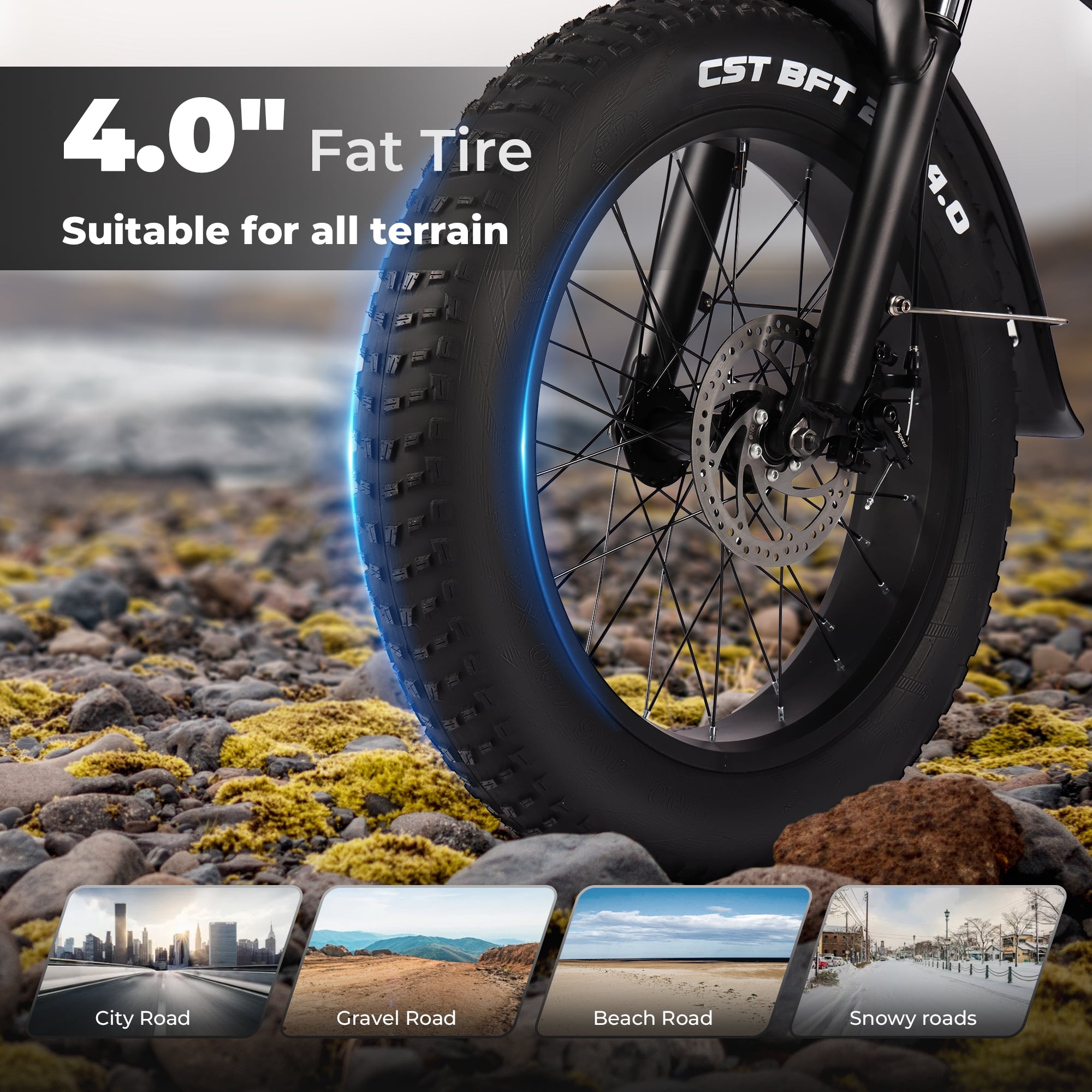 VARUN 20 in Folding Electric Bike for Adults, Fat Tire E-Bike with 750W Motor and 62 Mile Range (Black, 20 in) rg2fg